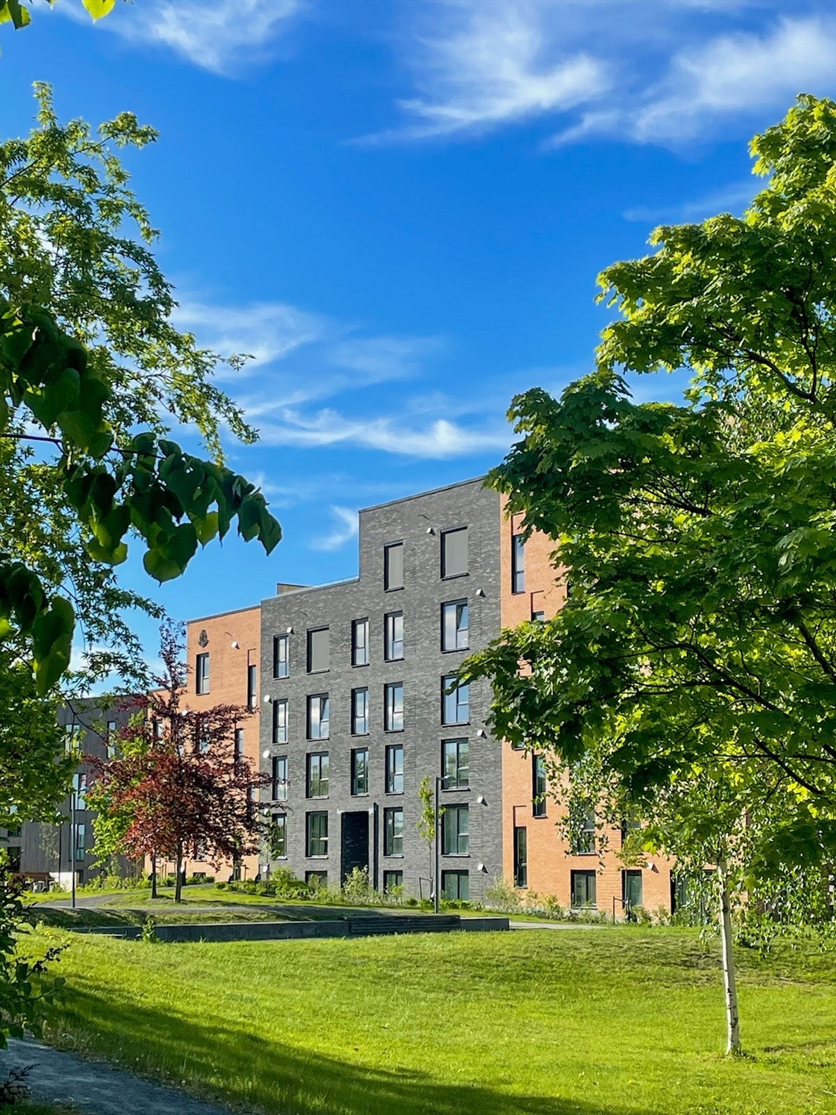 Sommer (selgers foto) Galleribilde