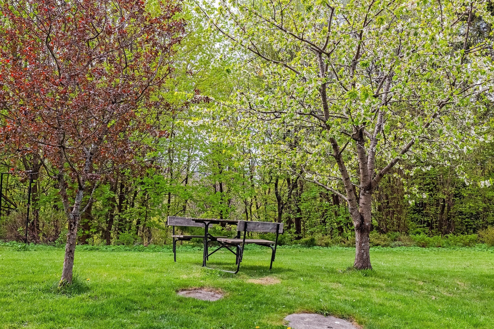 Velkommen til populære Tonsenhagen - Et sted hvor alle trives! Galleribilde