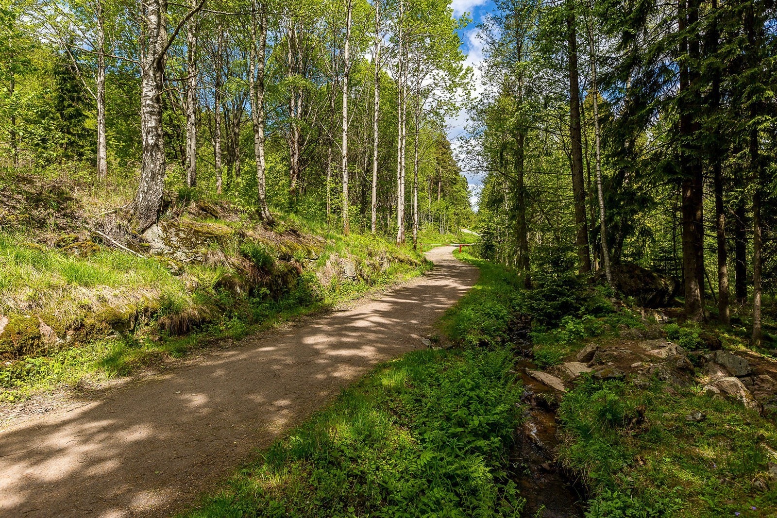 Lillomarka med flotte turstier - sommer som vinter! Galleribilde