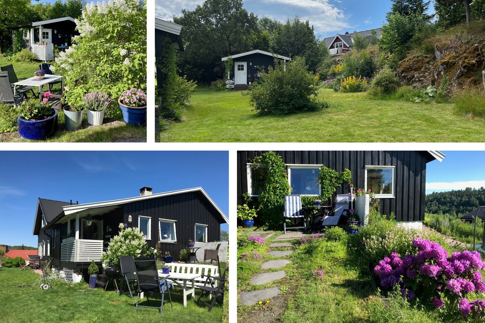 Collage sommer, selgers egne bilder Galleribilde