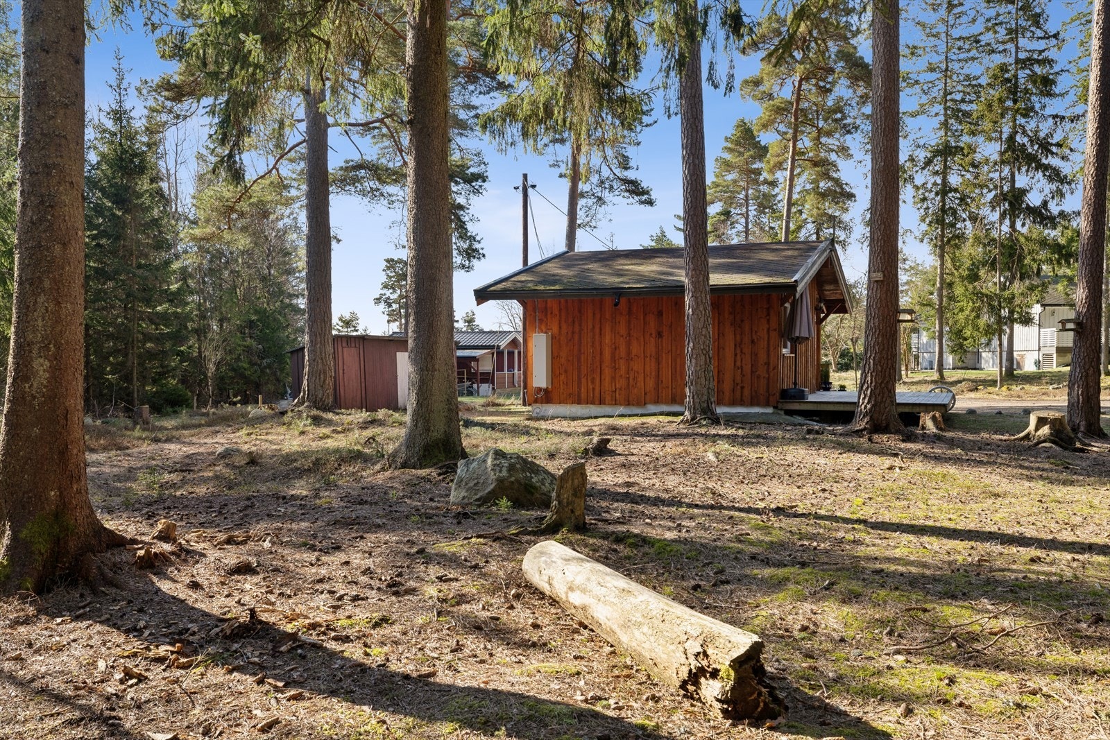 Tomten består av noe plenarealer, men for det meste skogsvegetasjon. Galleribilde