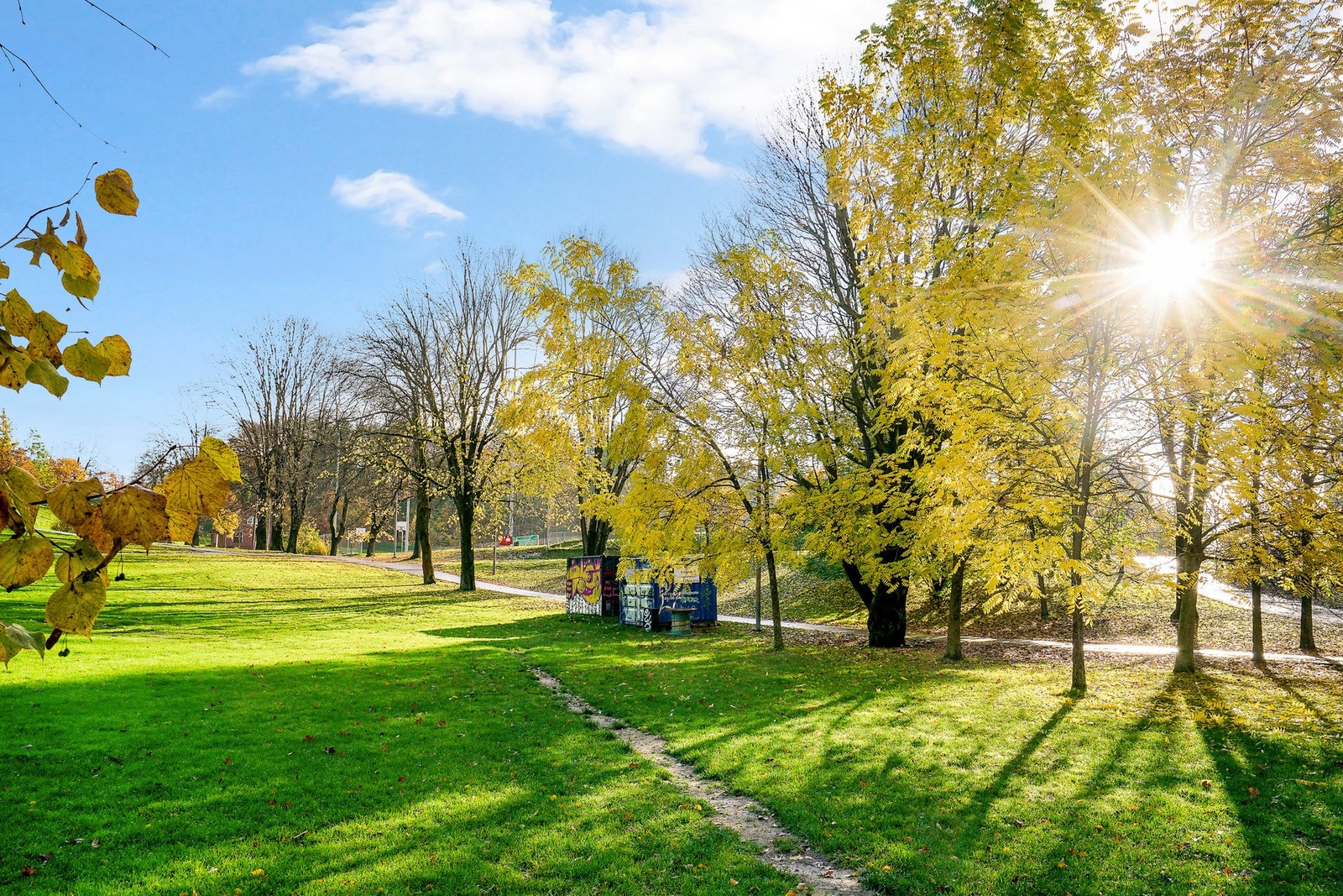 Tøyenparken Galleribilde