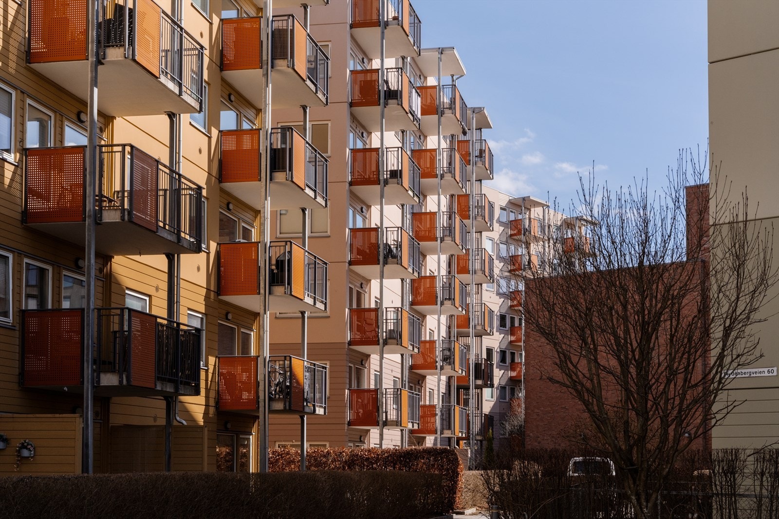 Fasade. Galleribilde