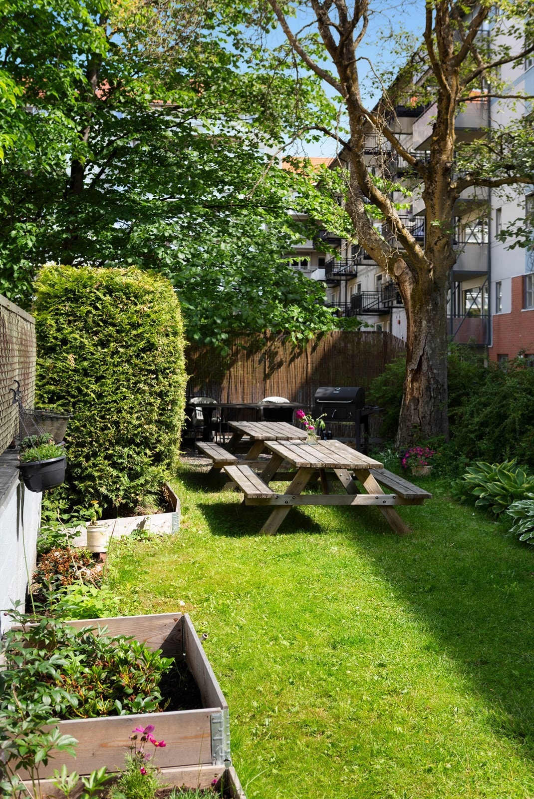Trivelig og opparbeidet bakgård med felles grill, langbord og gode sitteplasser. Galleribilde