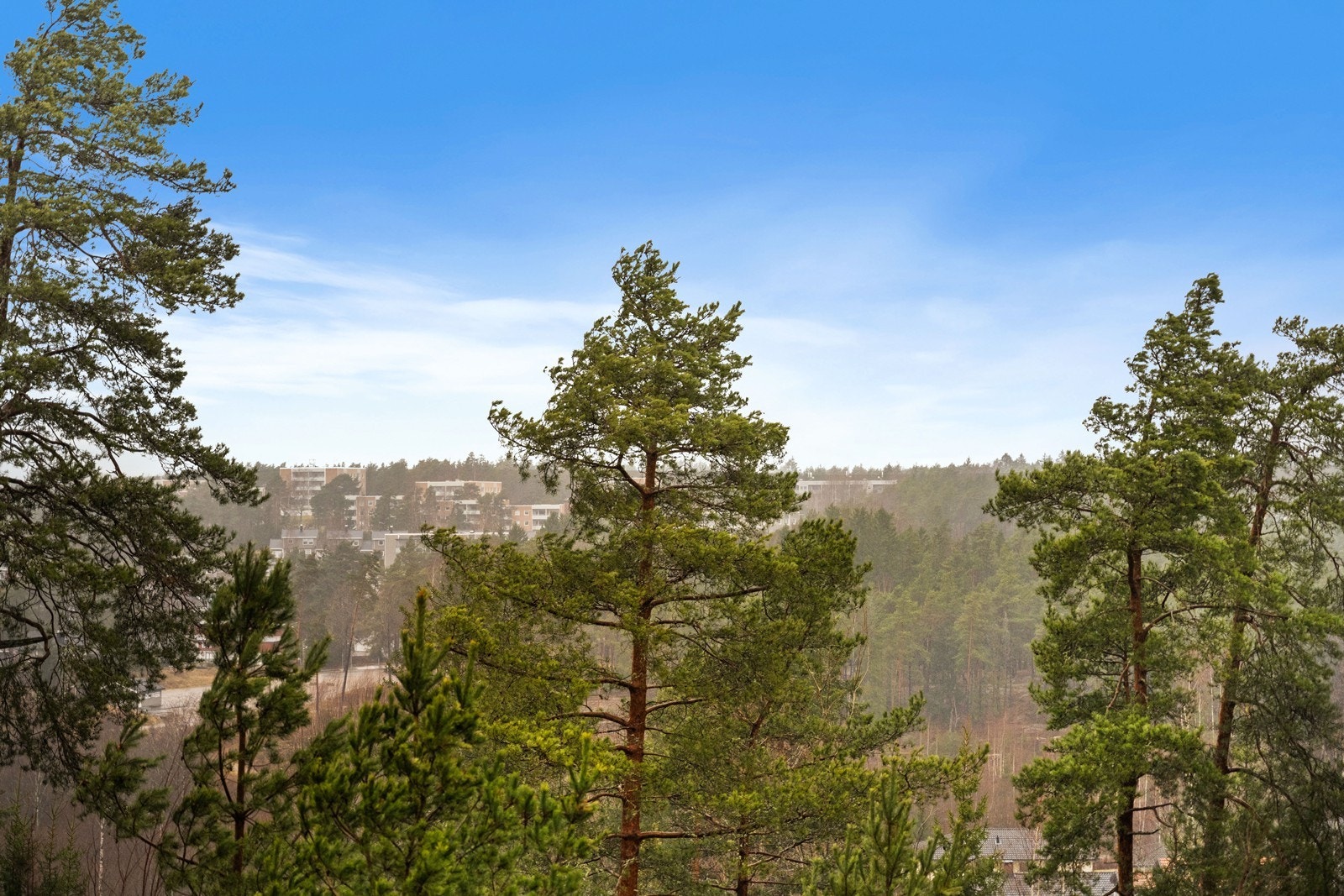 Fra leiligheten har man utsikt over grønne og rolige omgivelser, med nærhet til skog og mark. Galleribilde