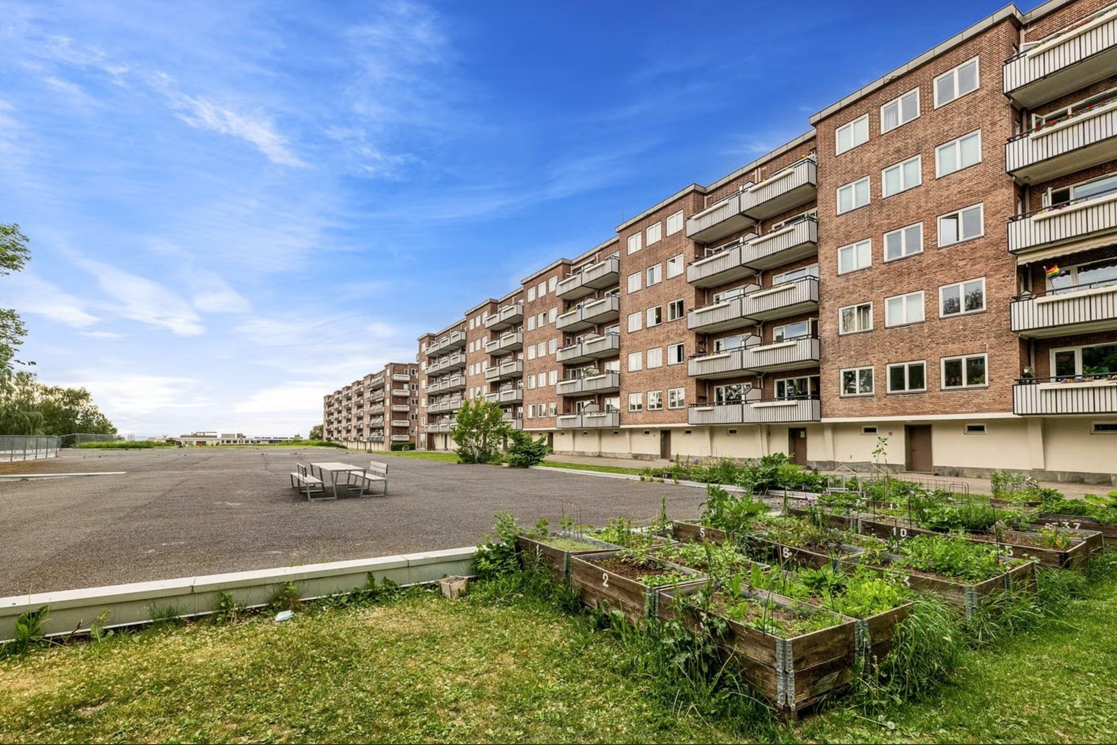 Borettslaget disponerer settekasser beboere kan leie for egen dyrking. Galleribilde