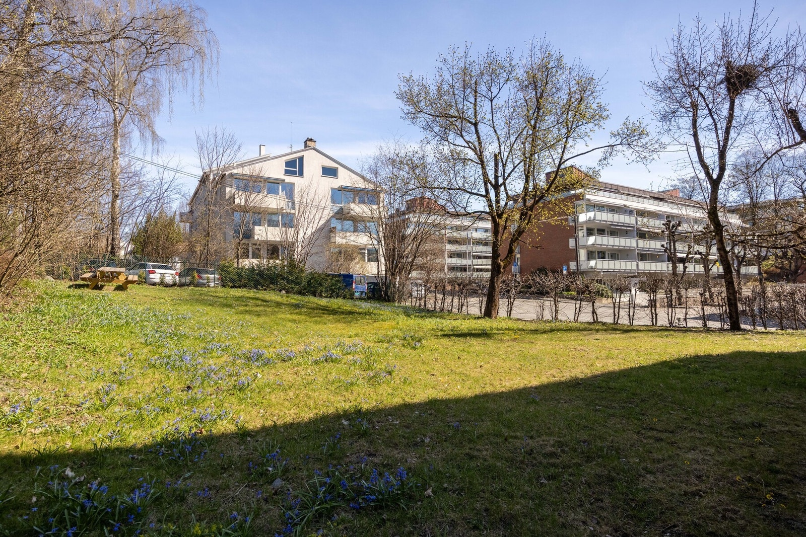 Her ligger alt til rette for å kunne trives. Galleribilde