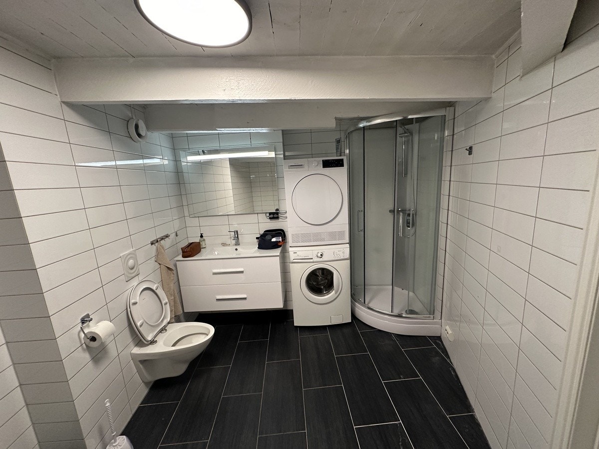 Bad med vaskemaskin og tørketrommel Galleribilde