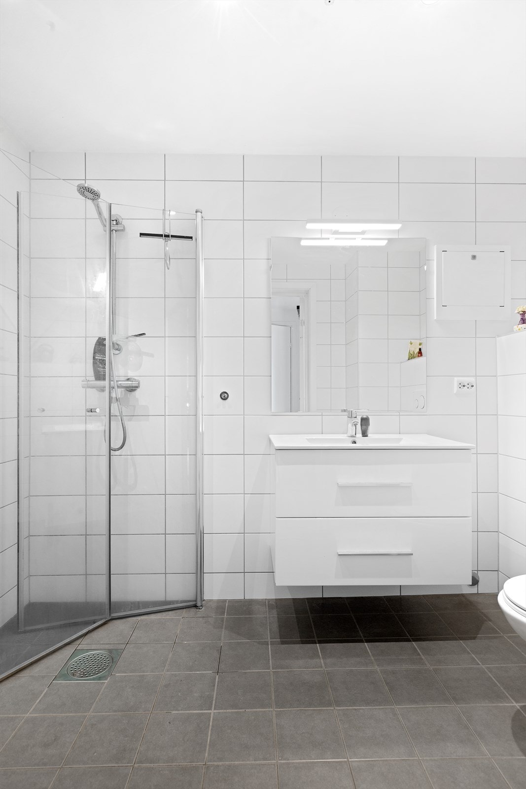 Badet har installert dusjhjørne- baderomsinnredning og toalett Galleribilde