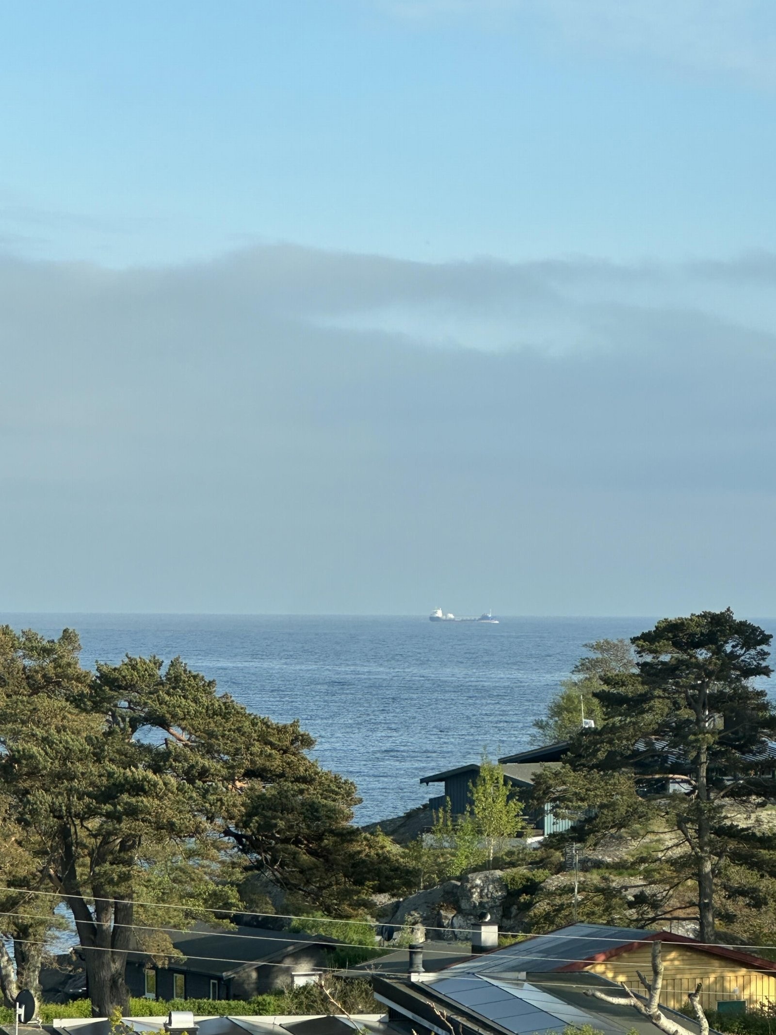 Selgers bilde Galleribilde