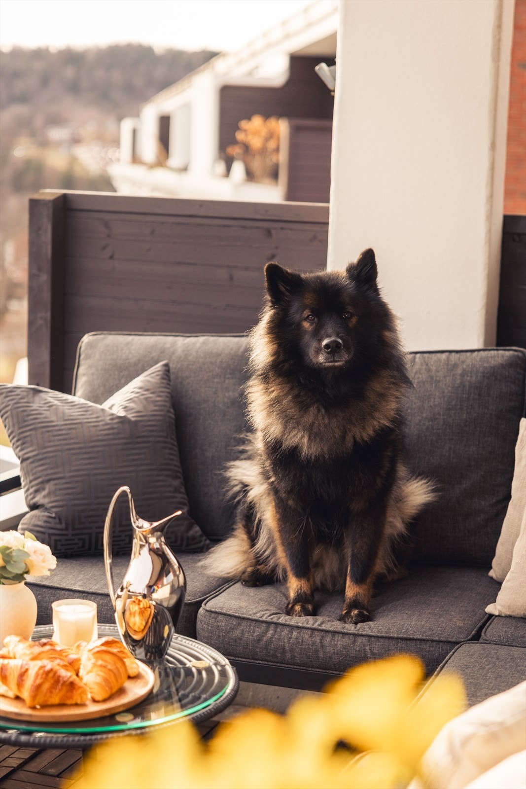 Det er tillatt med dyrehold i sameiet. Her vil både mennesker og pelskledde elske å bo! Galleribilde