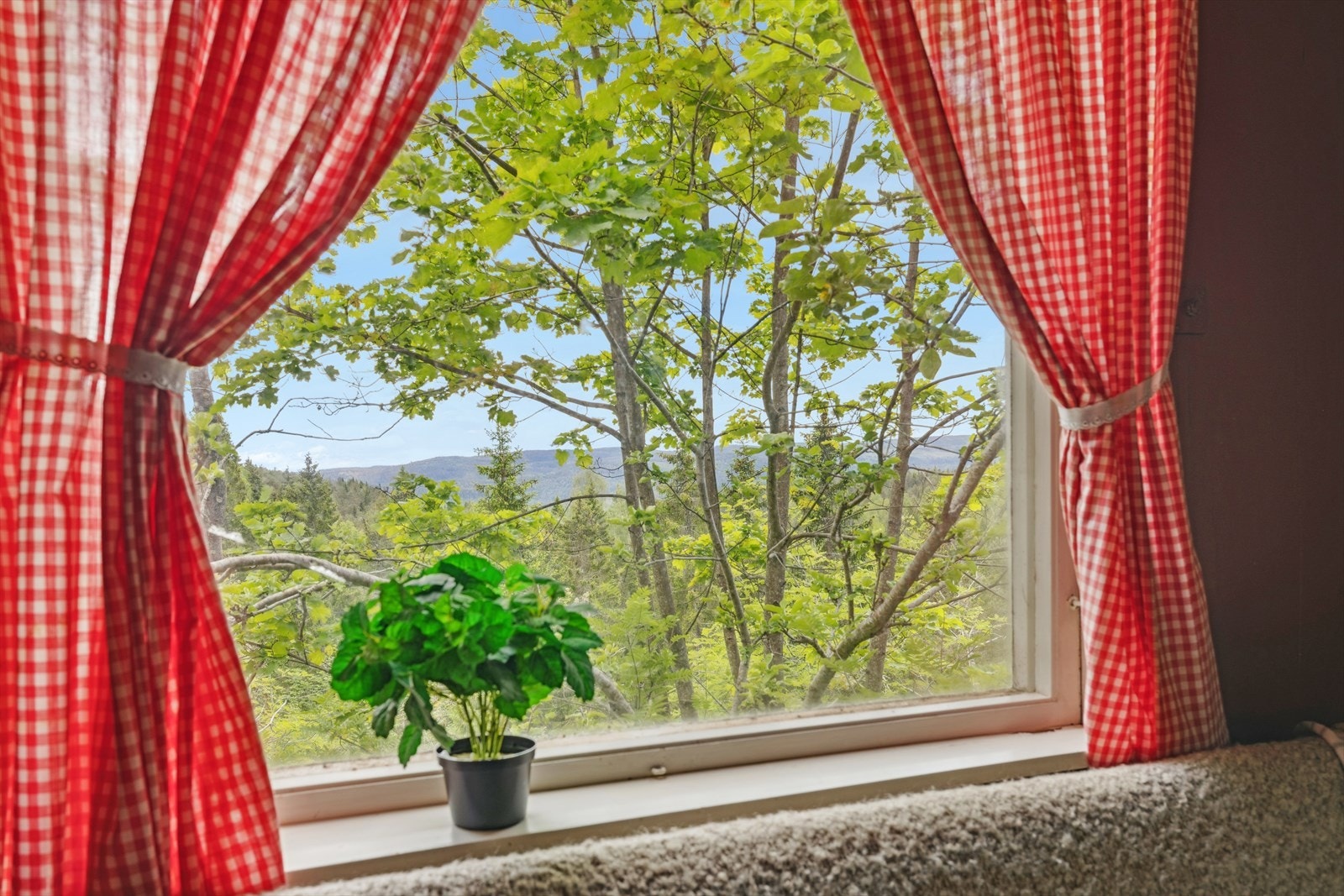 Utsikten kan nytes gjennom vinduet. Galleribilde