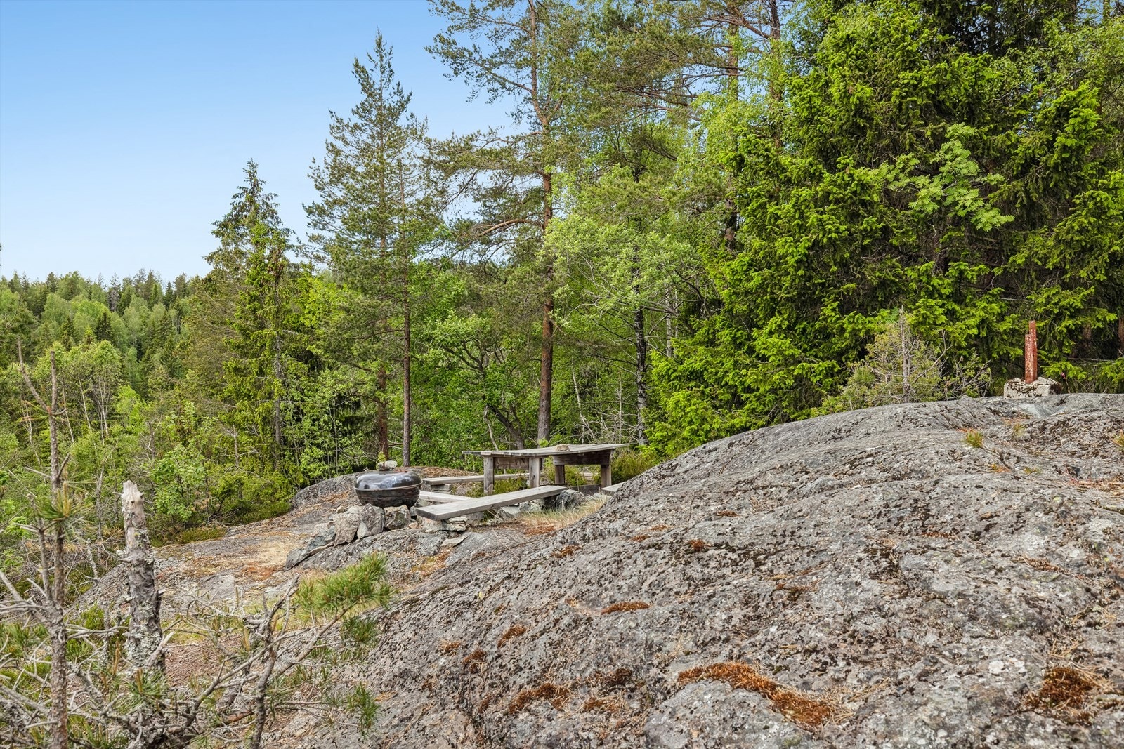 Dette er en stor, usjenert skogstomt. Galleribilde