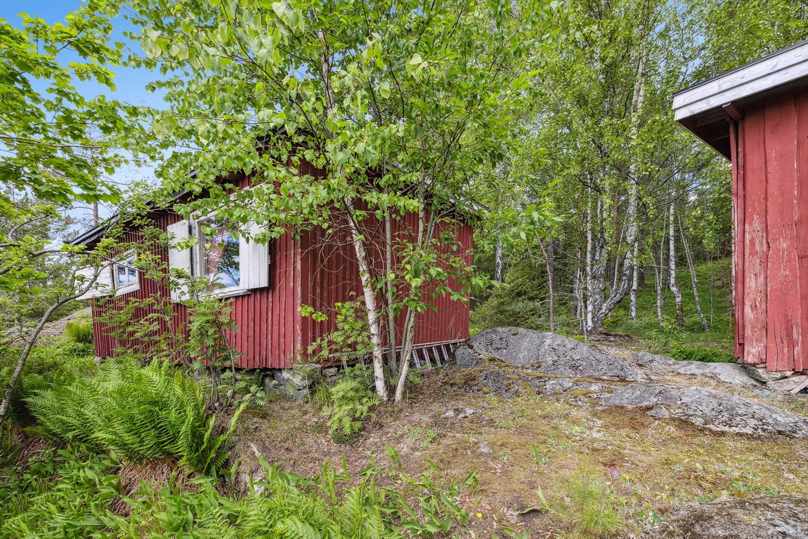 Hytte som ligger fredelig og usjenert i skogsområde. Galleribilde
