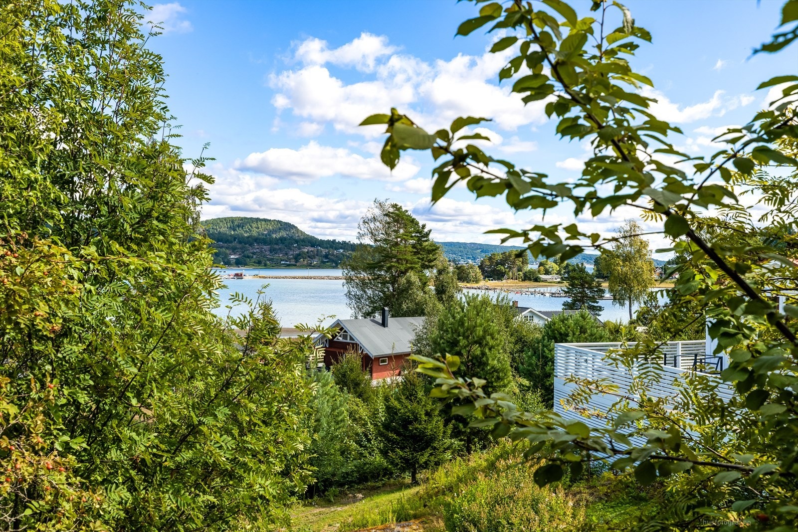 Utsikt fra hytta ned mot vannet. Galleribilde