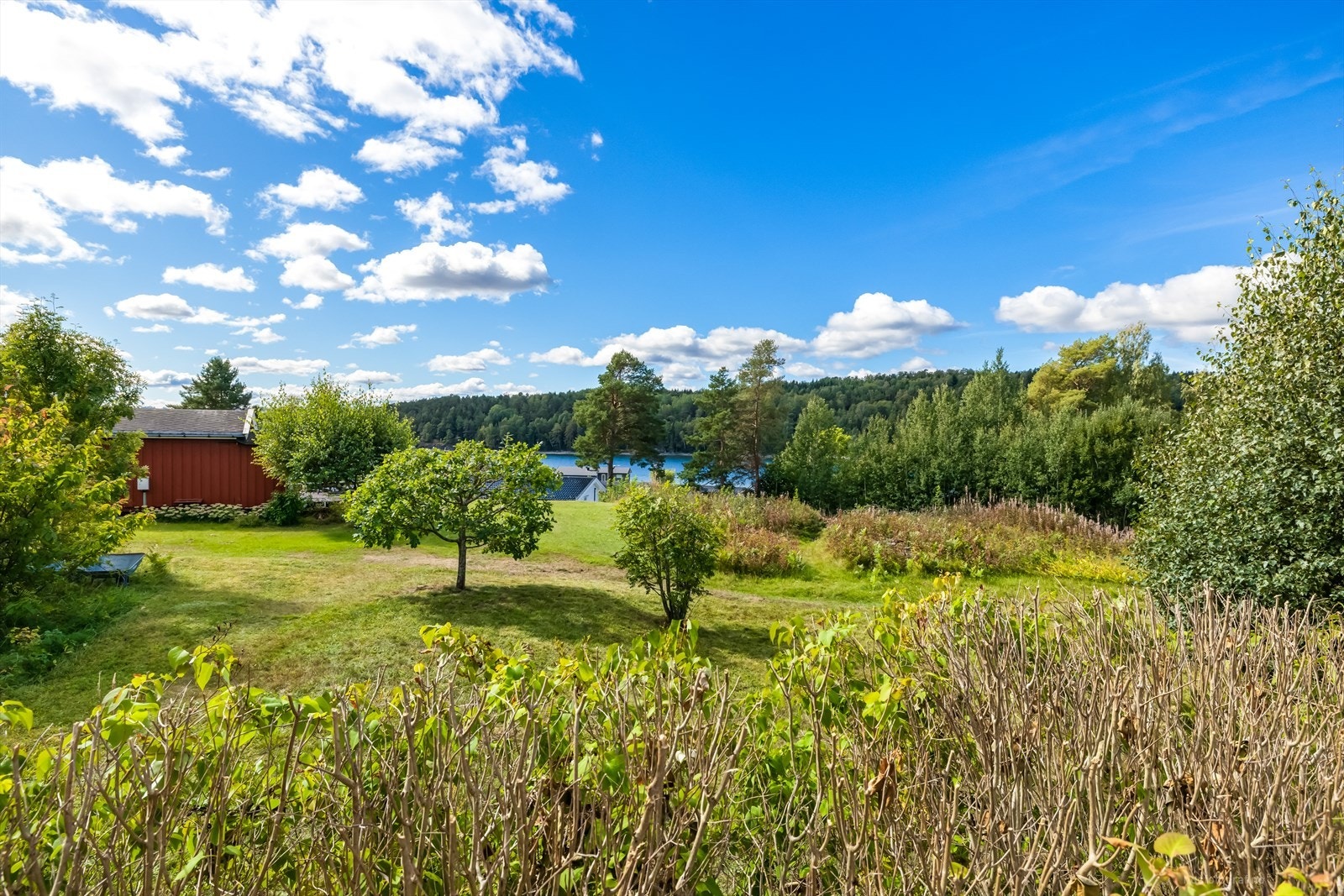 Hyggelig hage med fine beplantninger. Galleribilde