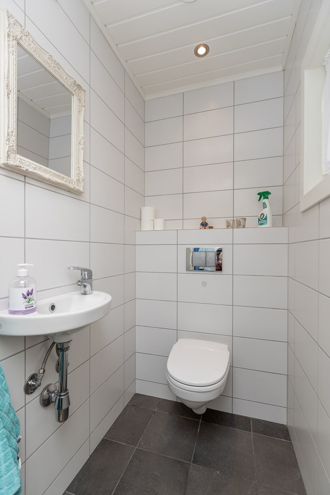Eget toalettrom Galleribilde