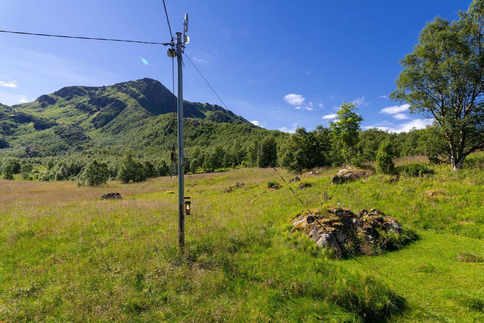 Utsikten Galleribilde