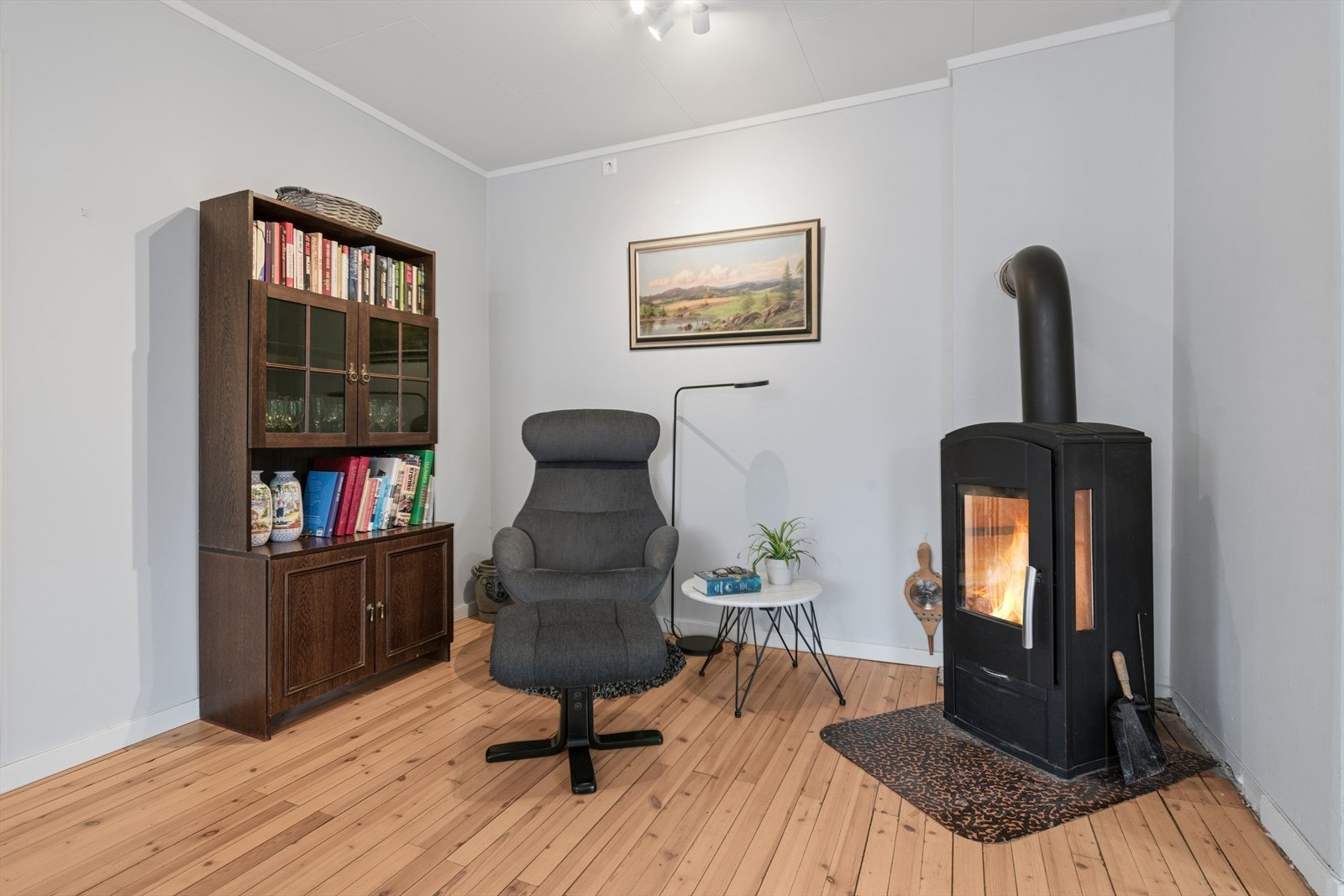Fra stuen - vedovn for varme og hygge Galleribilde