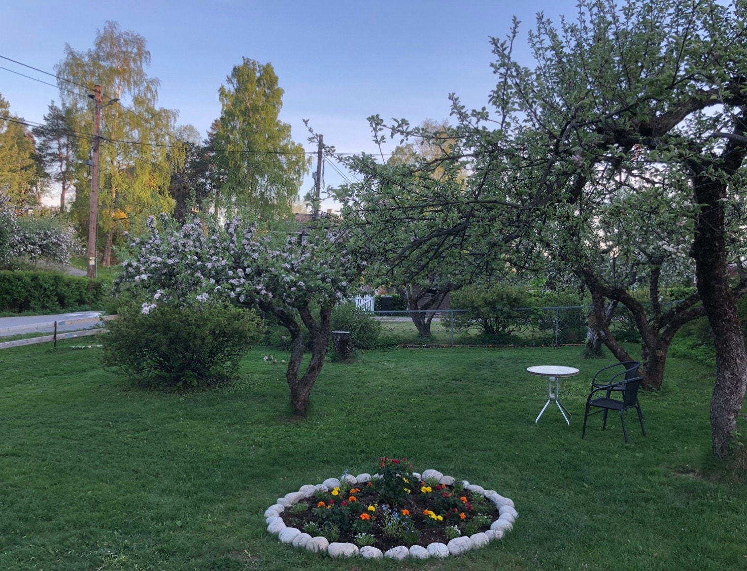 Pent opparbeidet tomt/hage - sommerbilde tatt av selger - det står i dag ett epletre i hagen Galleribilde