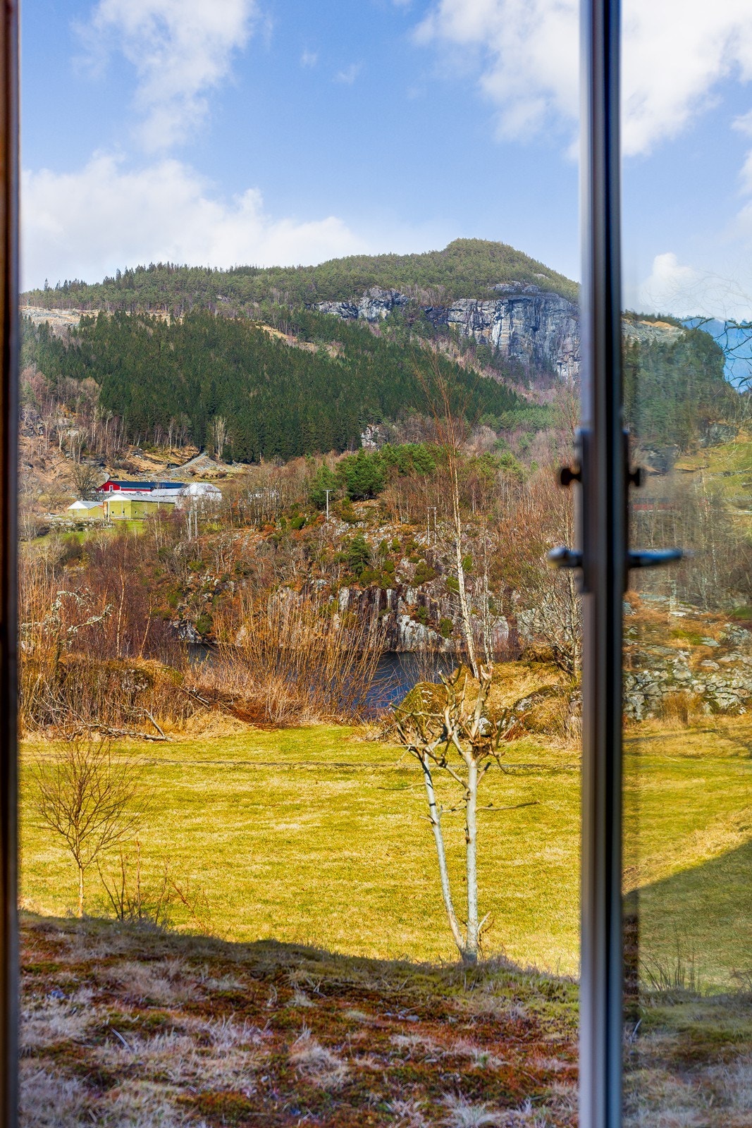 Rett ut i naturen! Galleribilde