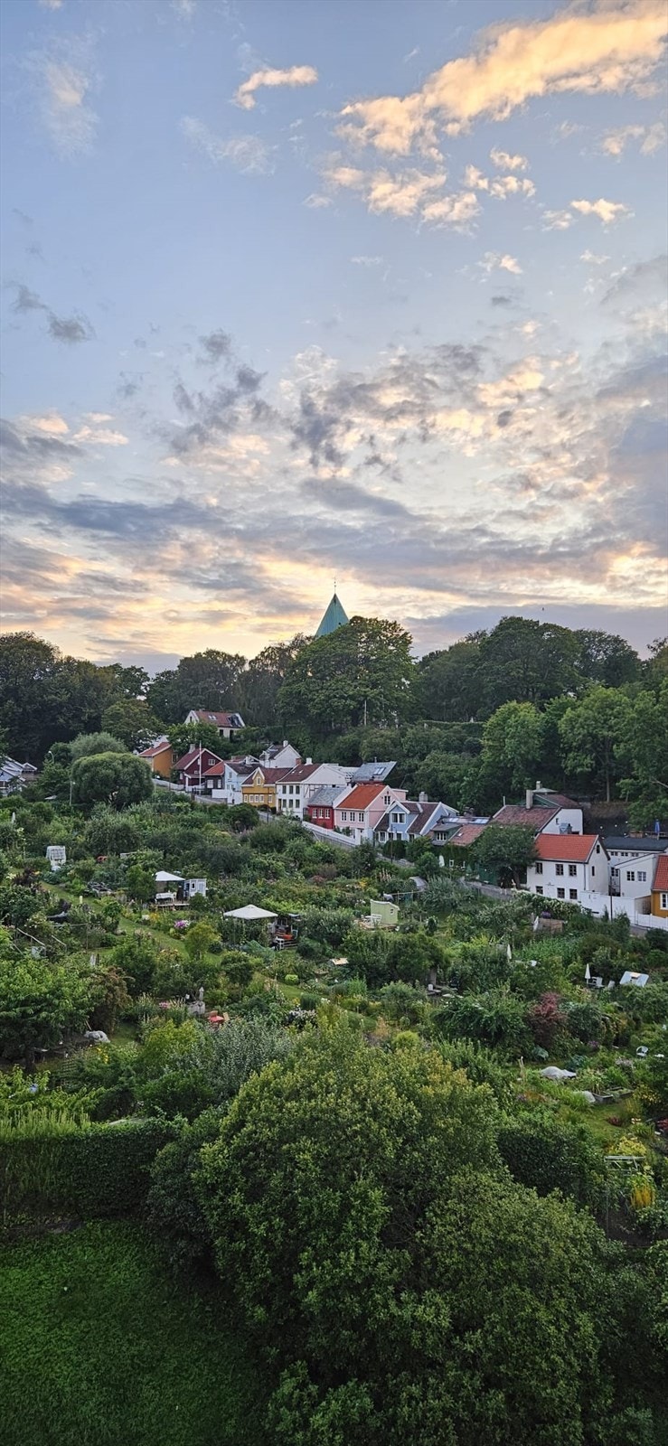 Selgers bilde fra balkong. Galleribilde