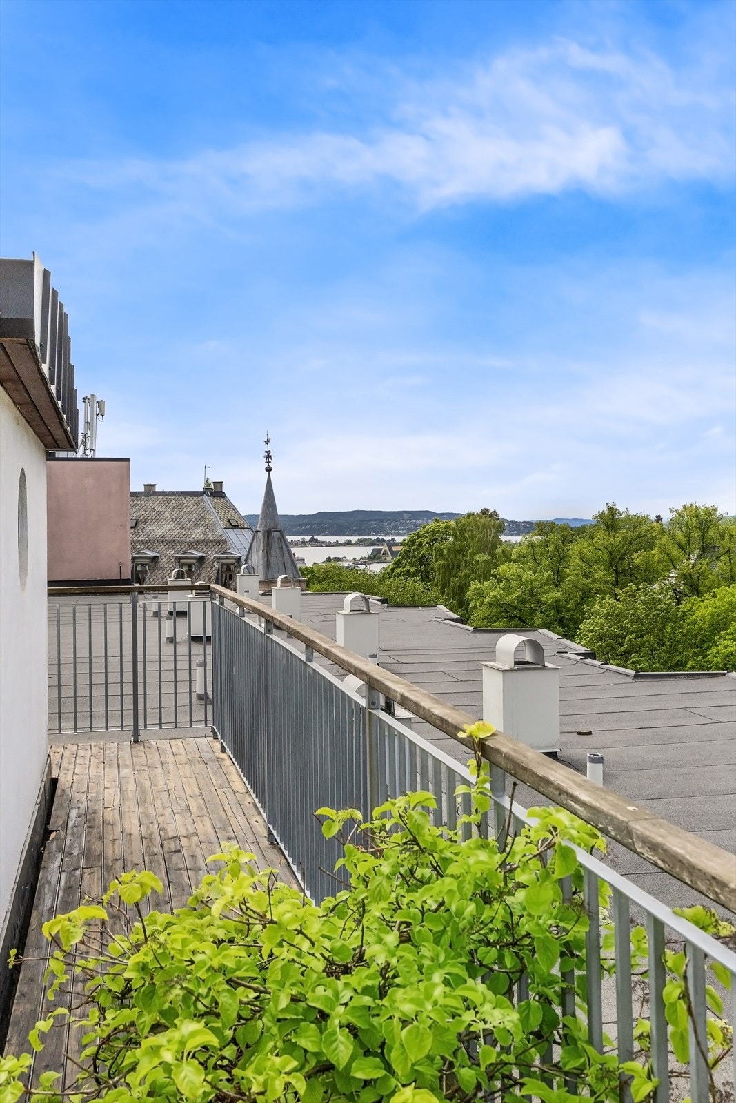 Upåklagelig utsikt til fjorden, over hustakene og til Holmenkollen. Galleribilde