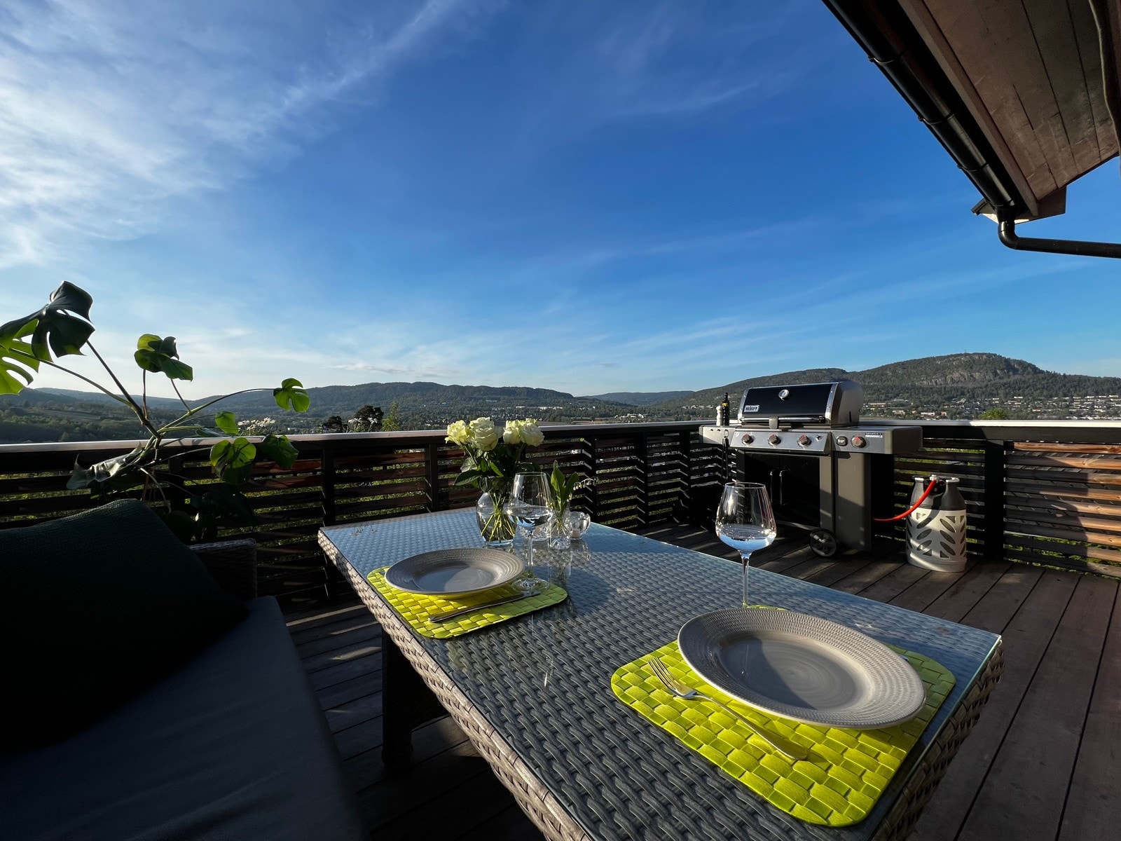 ( Selgers private sommerbilder) Galleribilde