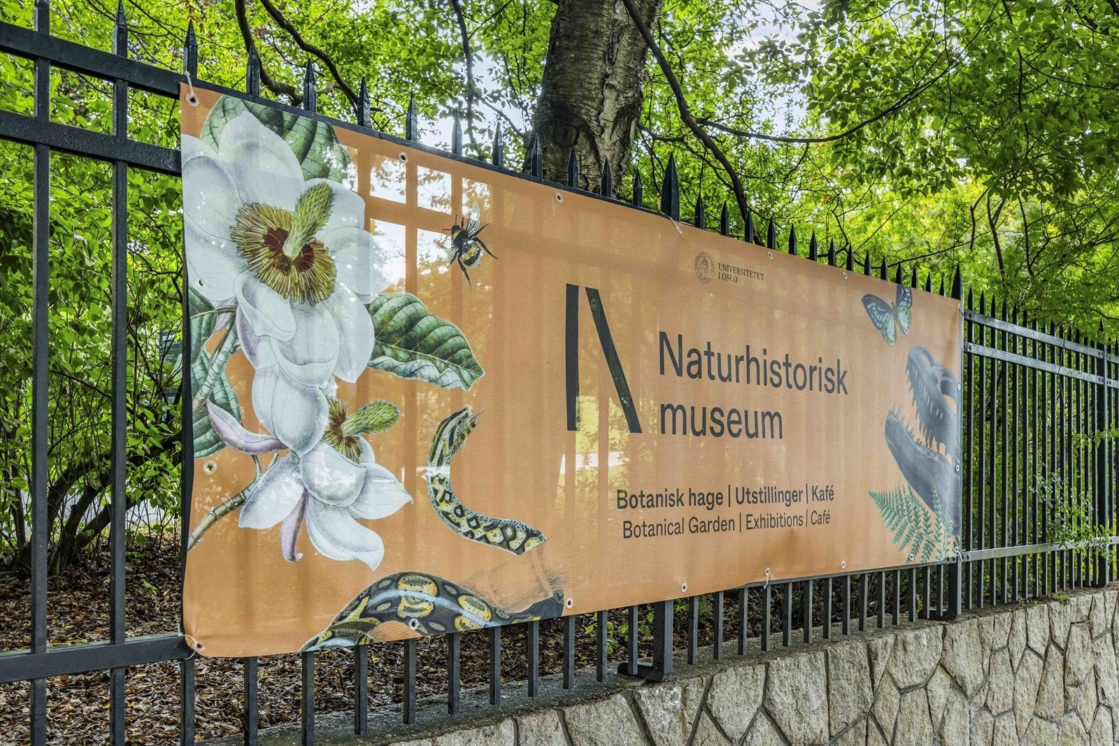 Naturhistorisk museum er også rett i nærheten. Galleribilde