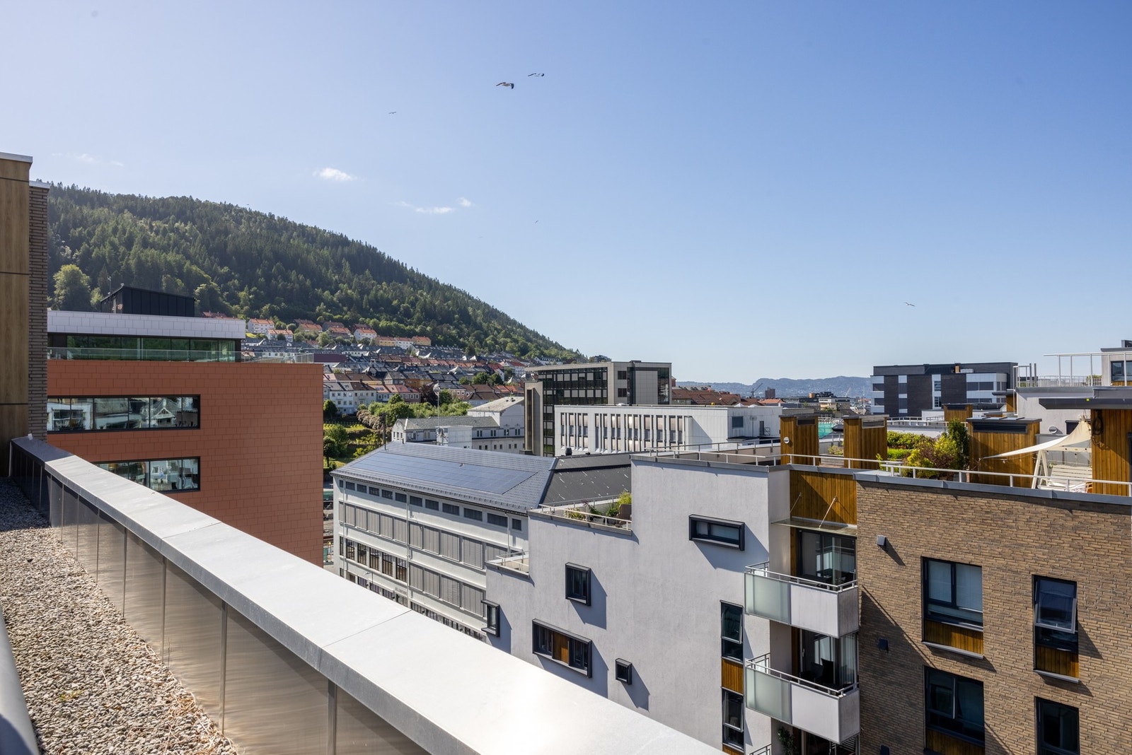 Flott utsikt. Galleribilde