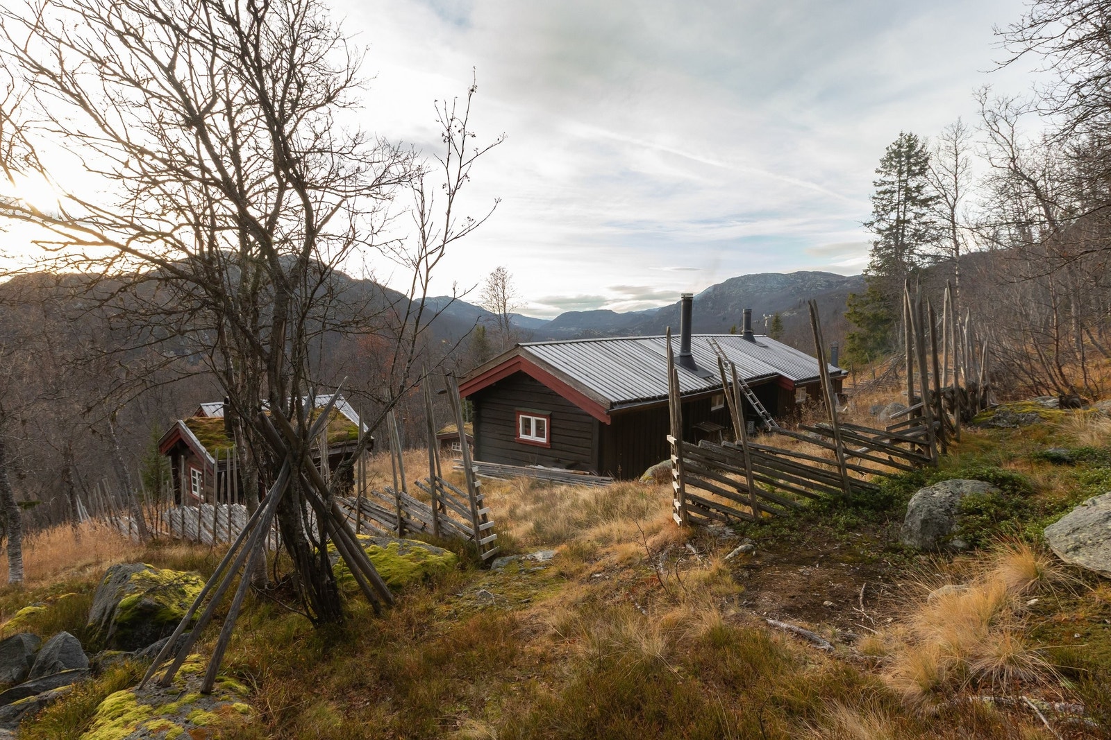 Høst Galleribilde