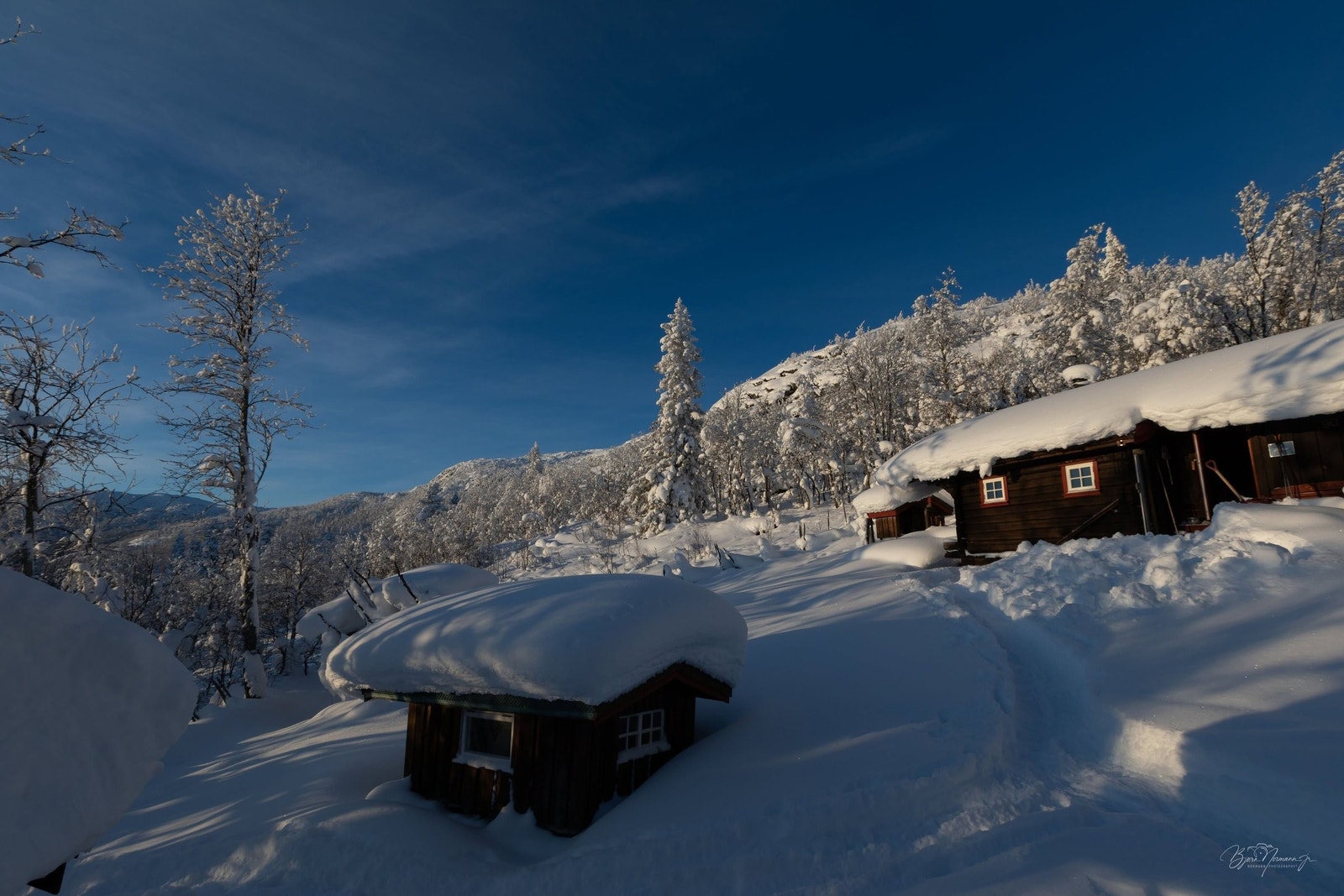 Vinter 2026 Galleribilde