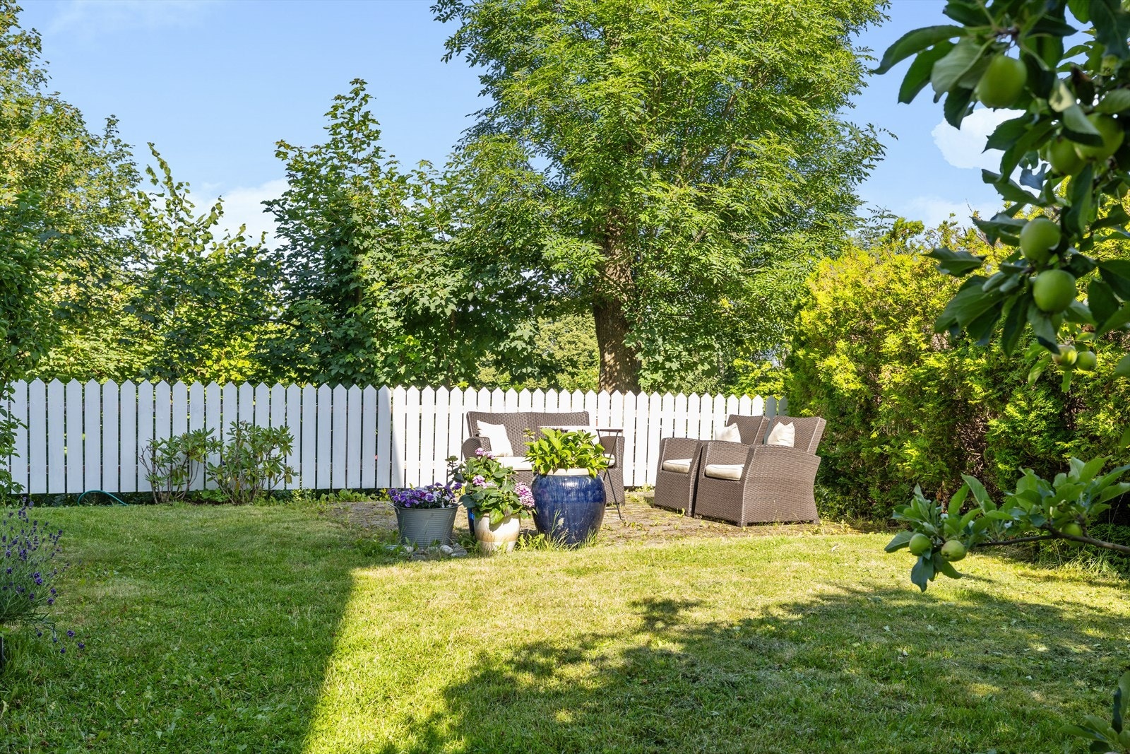 Sommerbilder Galleribilde
