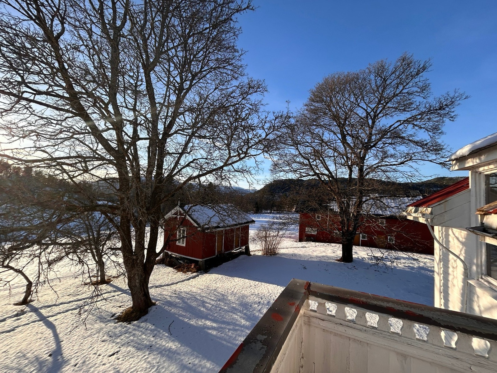 Selgers egne bilder Galleribilde