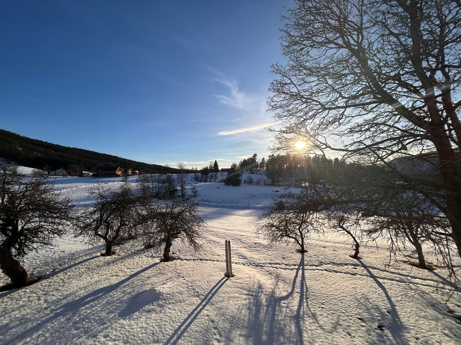 Selgers egne bilder Galleribilde