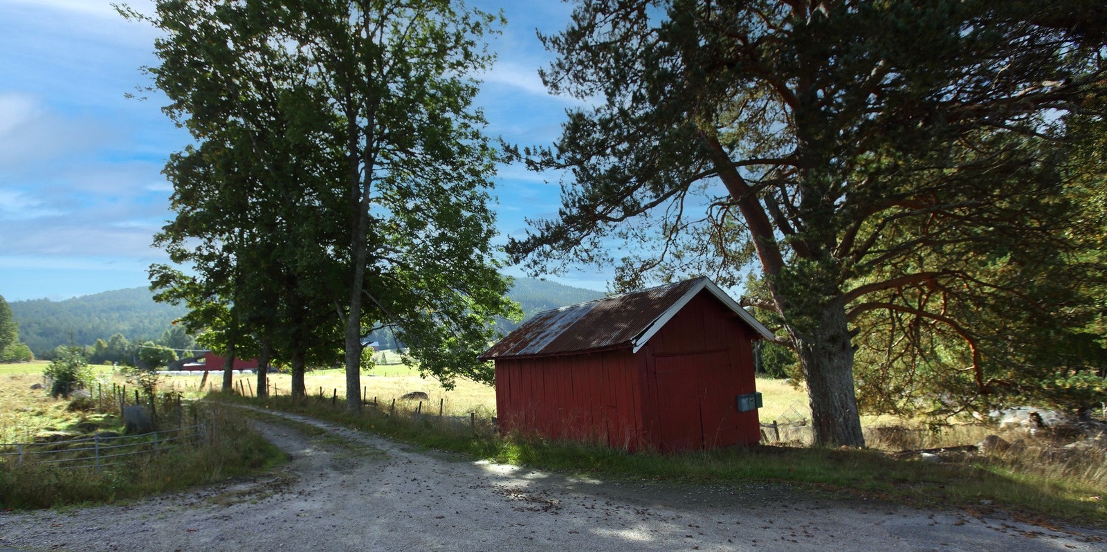 Selgers egne bilder Galleribilde