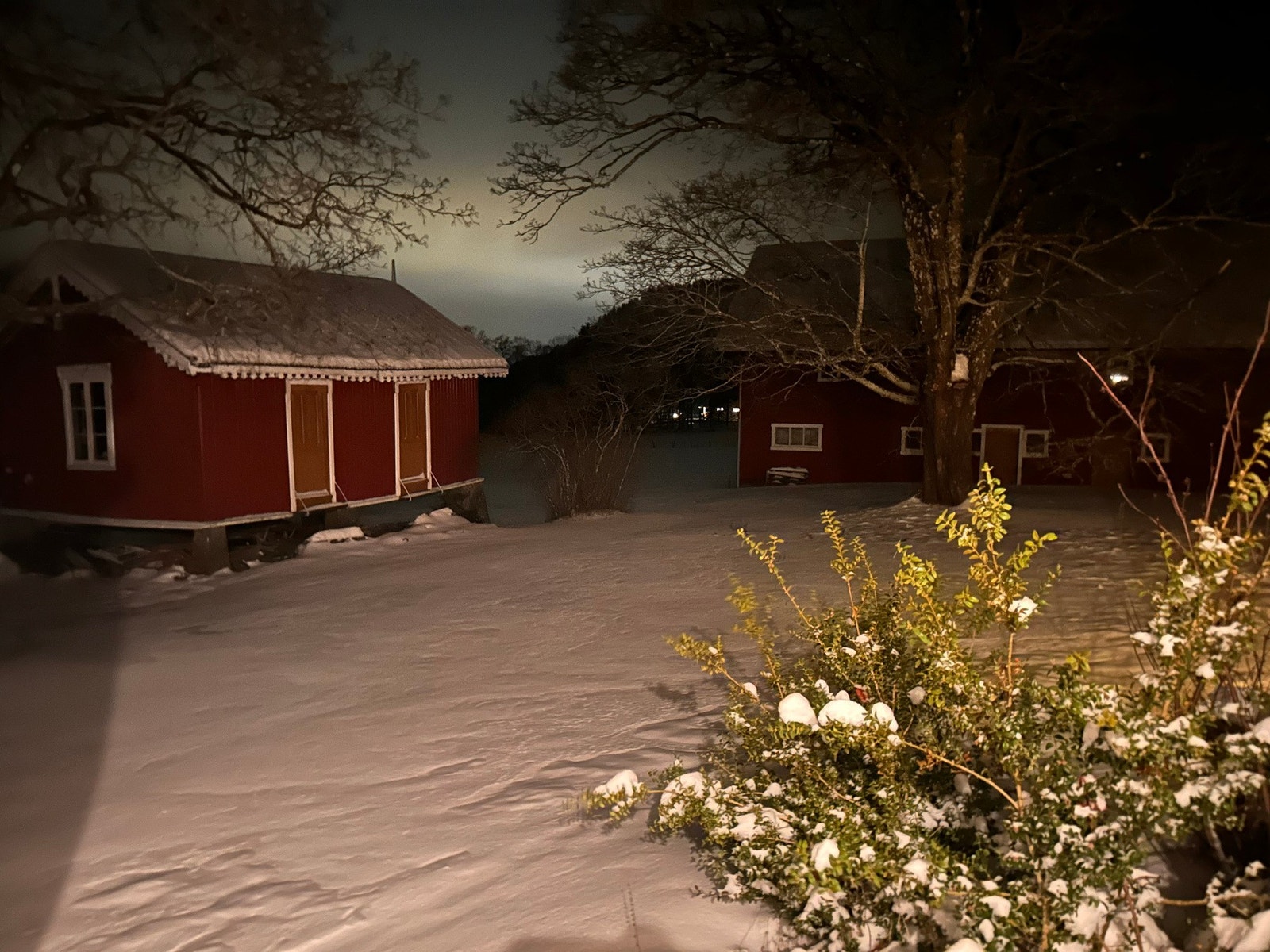 Selgers egne bilder Galleribilde