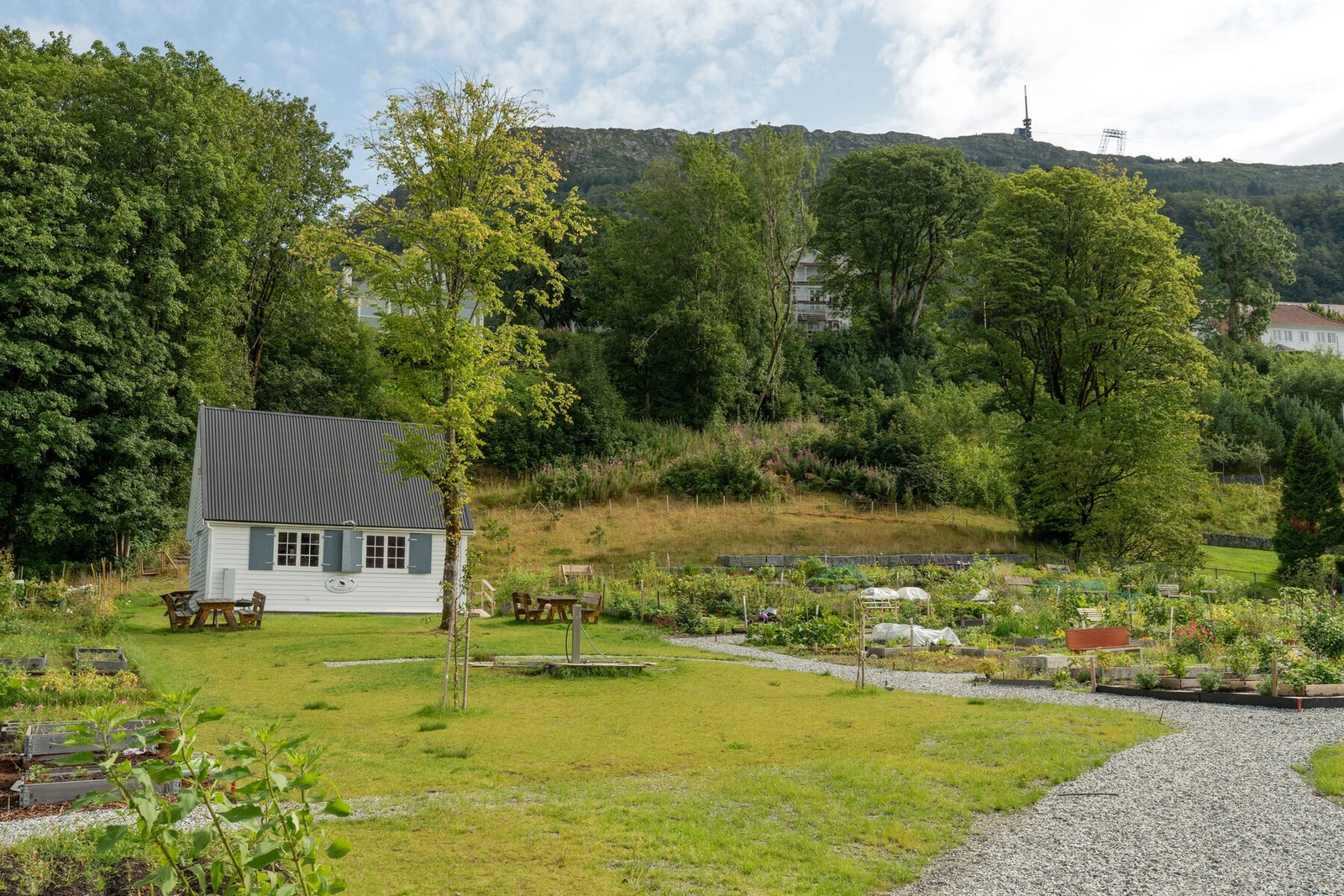 Parsellhage. Galleribilde