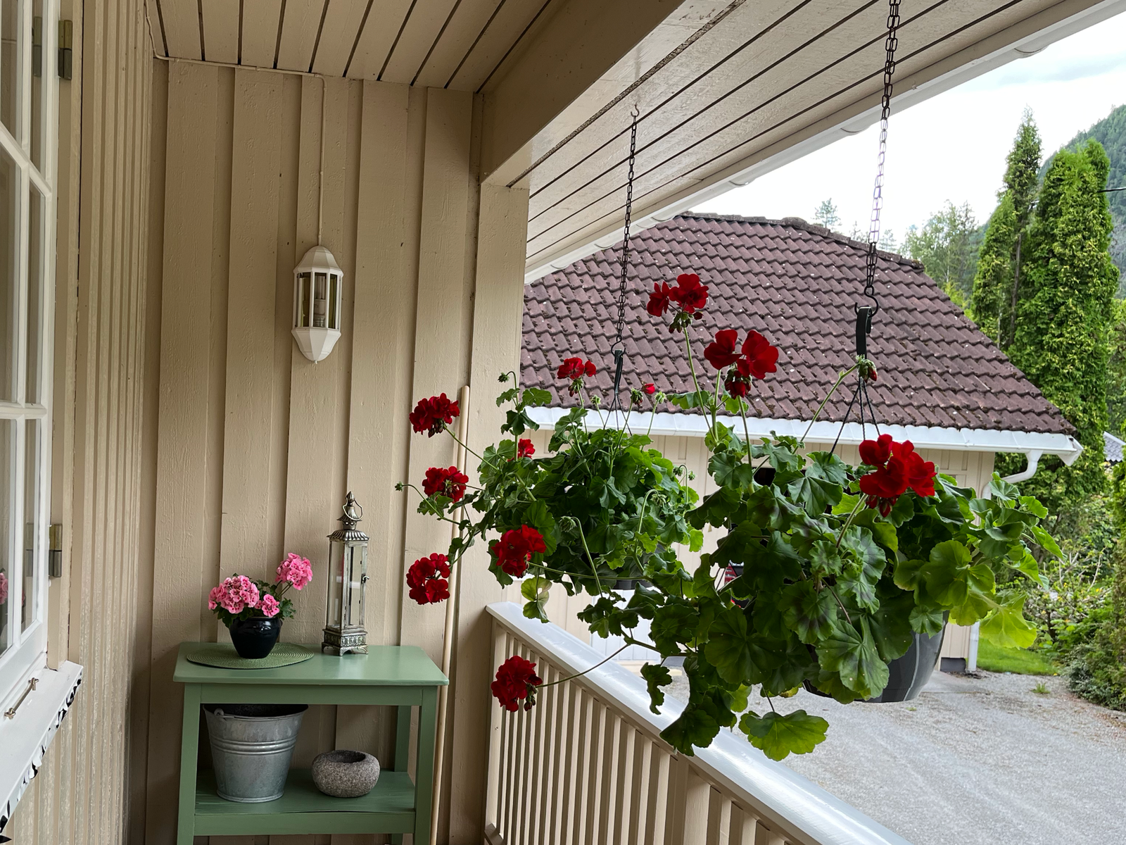 Eiers private bilder fra sommerstid Galleribilde