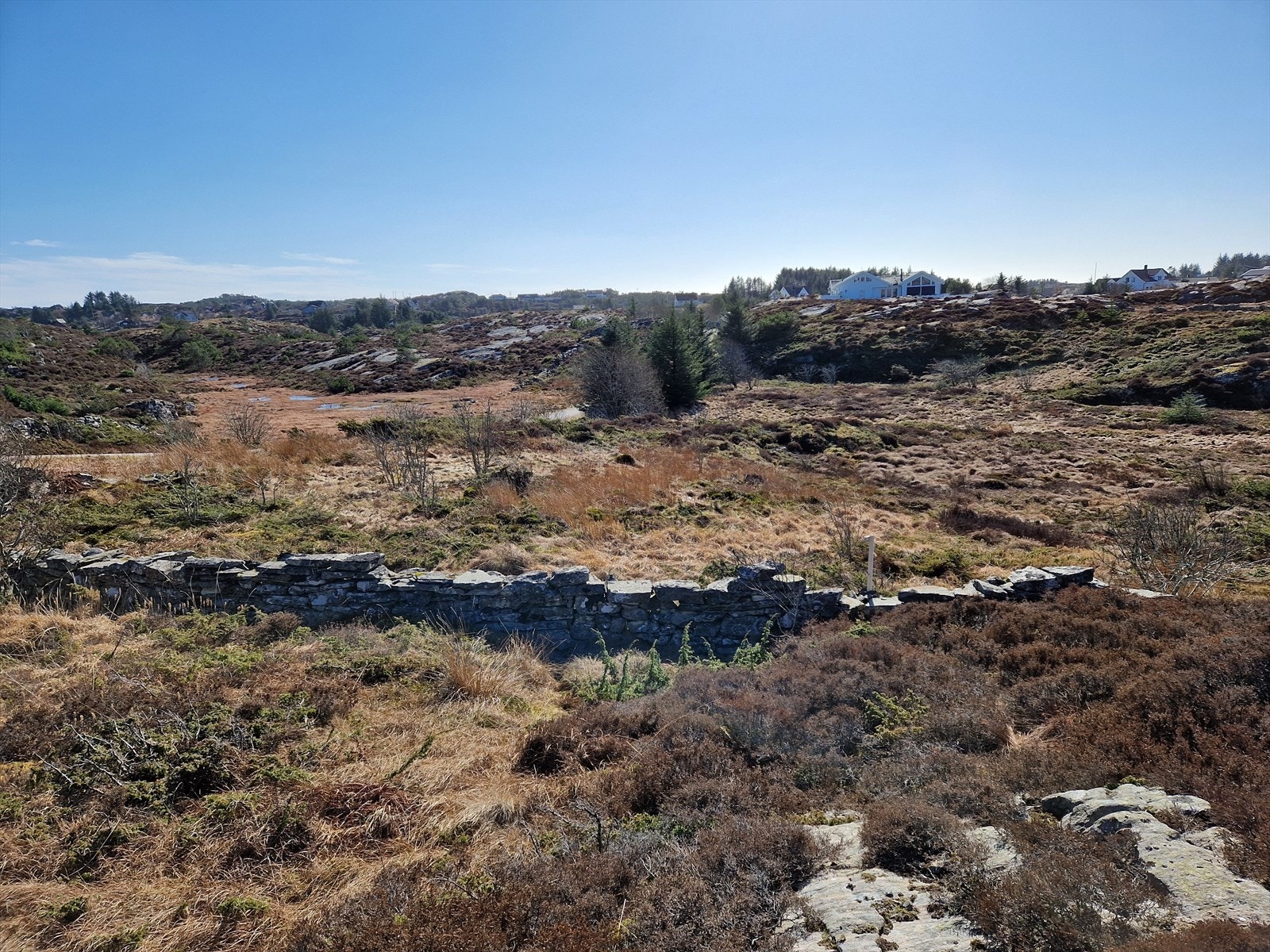 Tomten har et stort, åpent område med naturlig vegetasjon og god plass. Galleribilde
