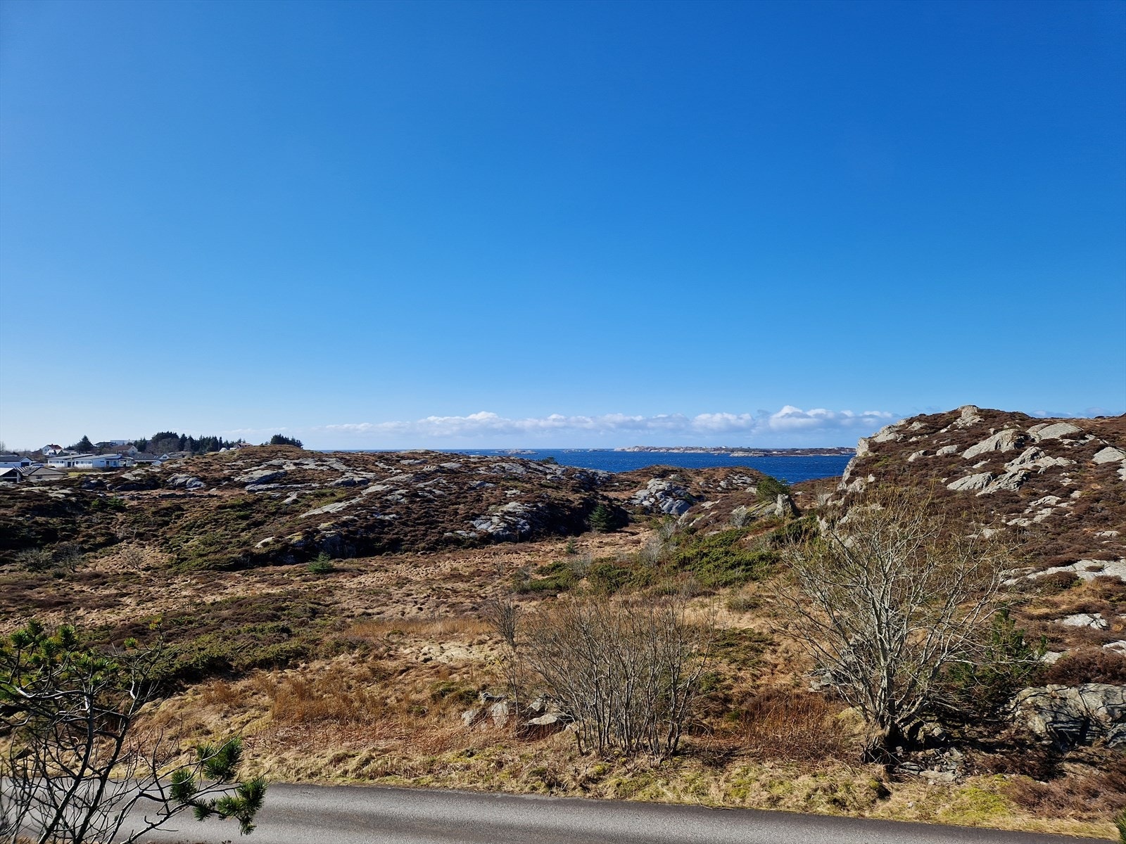 Tomten har utsikt mot kystlinjen, med naturlig vegetasjon og åpent landskap. Galleribilde