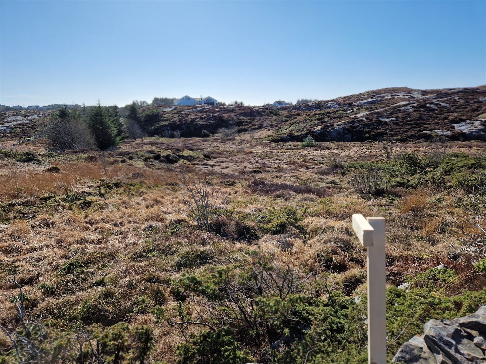 Området består av åpen natur med vegetasjon og lett kupert terreng. Galleribilde