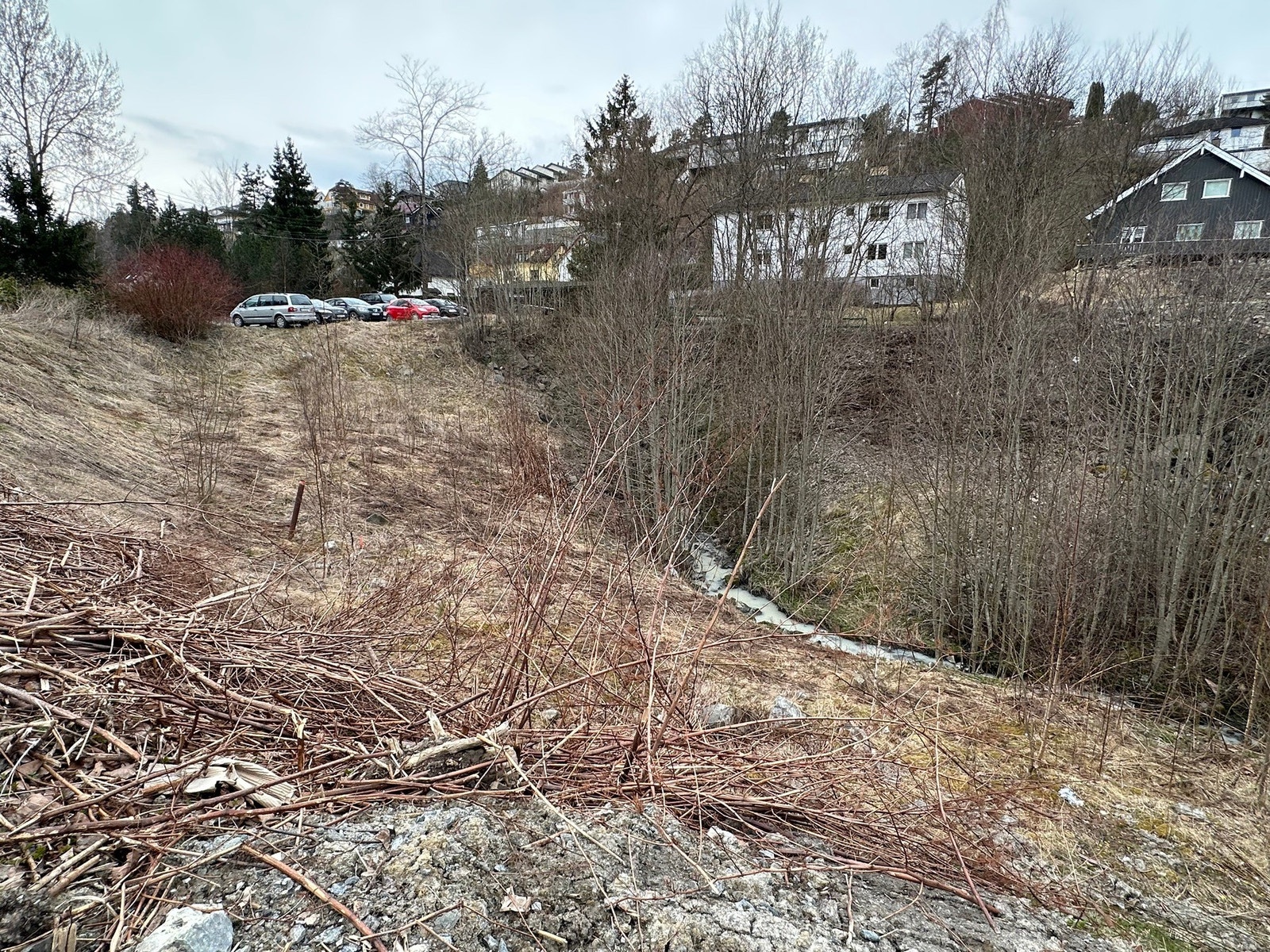 Eneboligen skal bygges omtrent ved bilene. Galleribilde