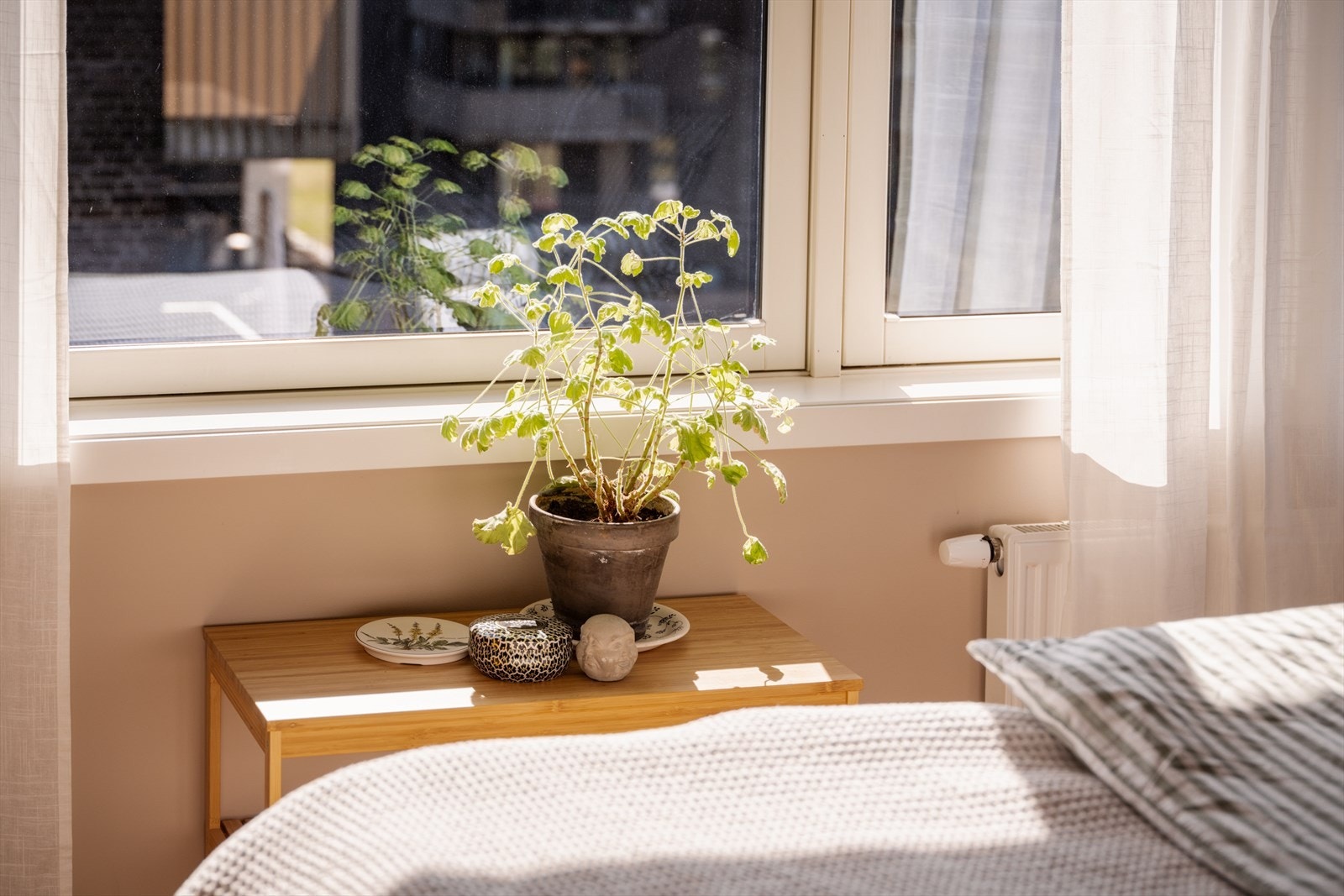 Legg merke til det flotte lyset! Galleribilde