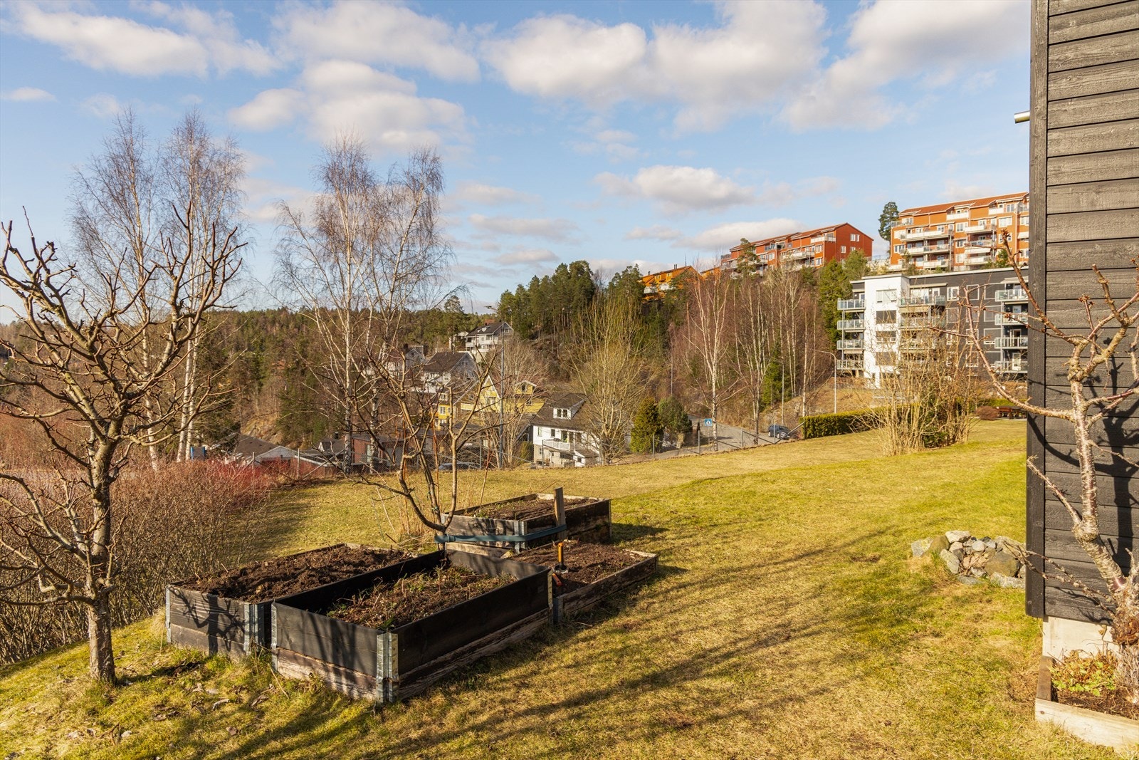Hyggelig beplantning rett utenfor huset Galleribilde