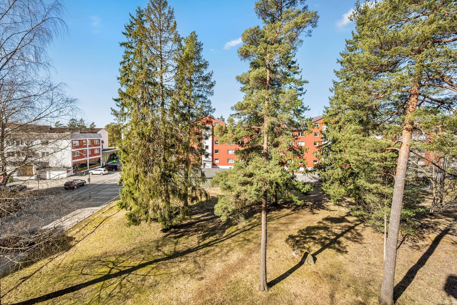 Fra leiligheten har du en fredelig og grønn utsikt. Galleribilde