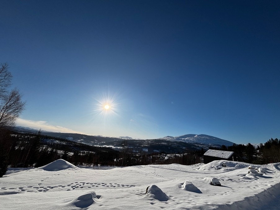 Tomtefeltet -bilde tatt mot Fonnfjellet Galleribilde