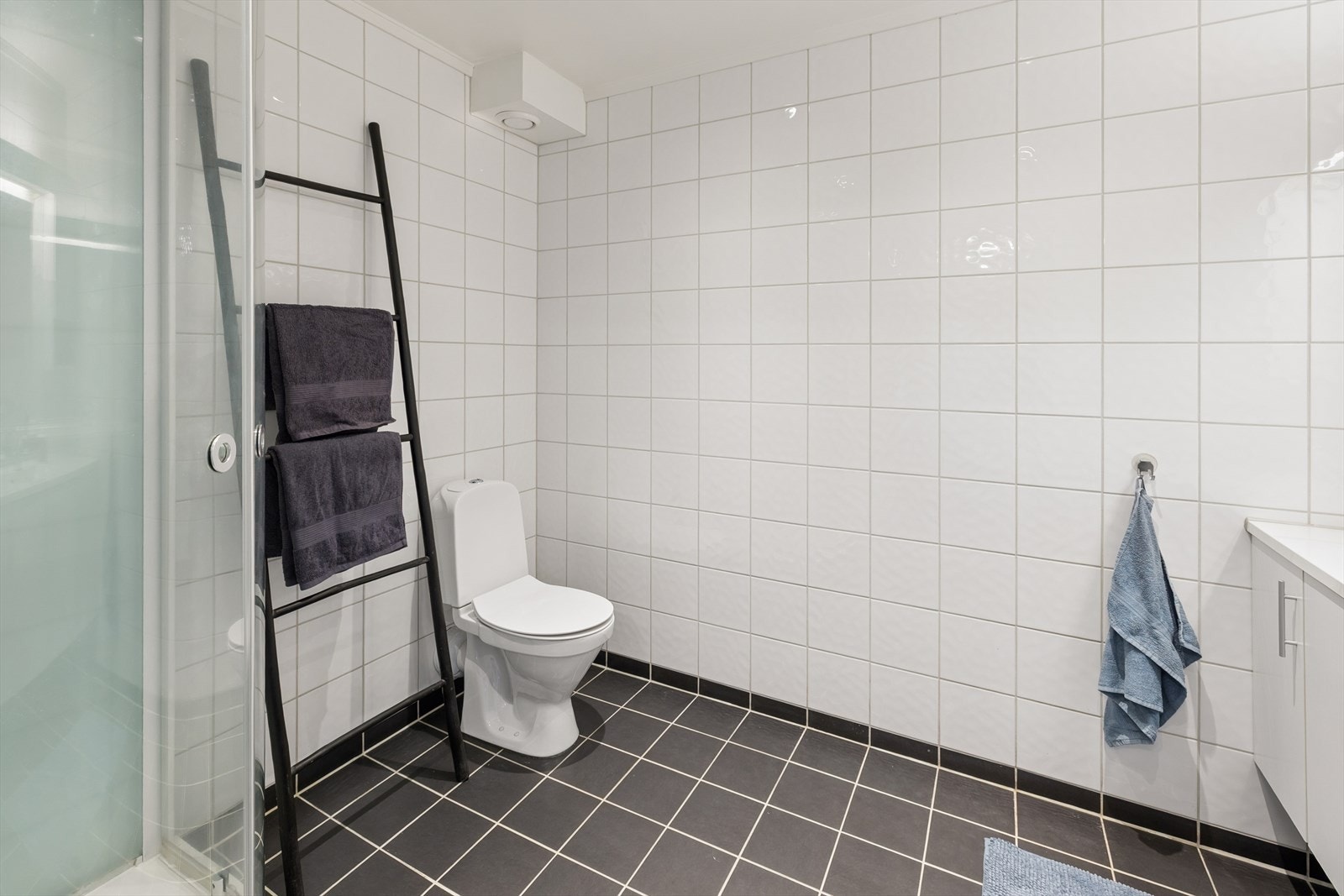 Rommet er utstyrt med dusjkabinett, toalett og en baderomsinnredning med integrert servant. Ventilasjon via mekanisk avtrekk. Galleribilde