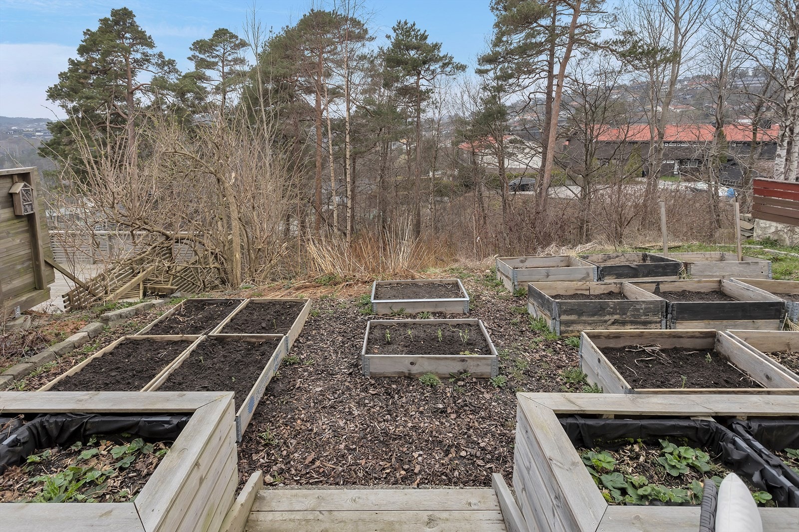 Tomt | Mulighet for vekst av varierende beplanting. Galleribilde
