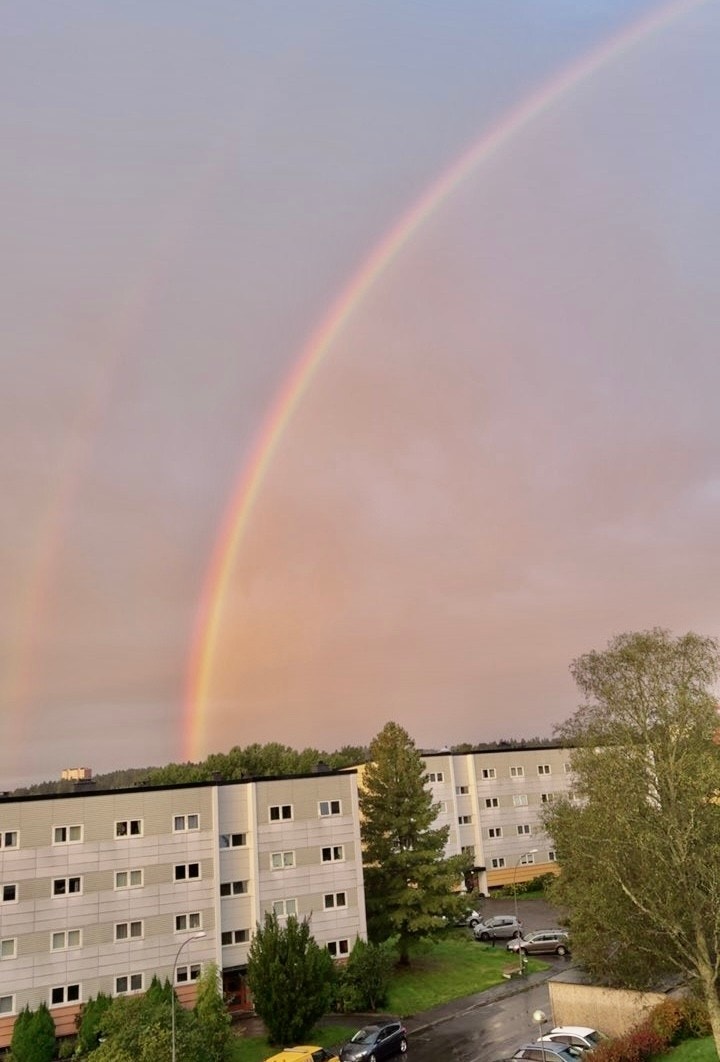 Selgers utsikts bilde. Galleribilde